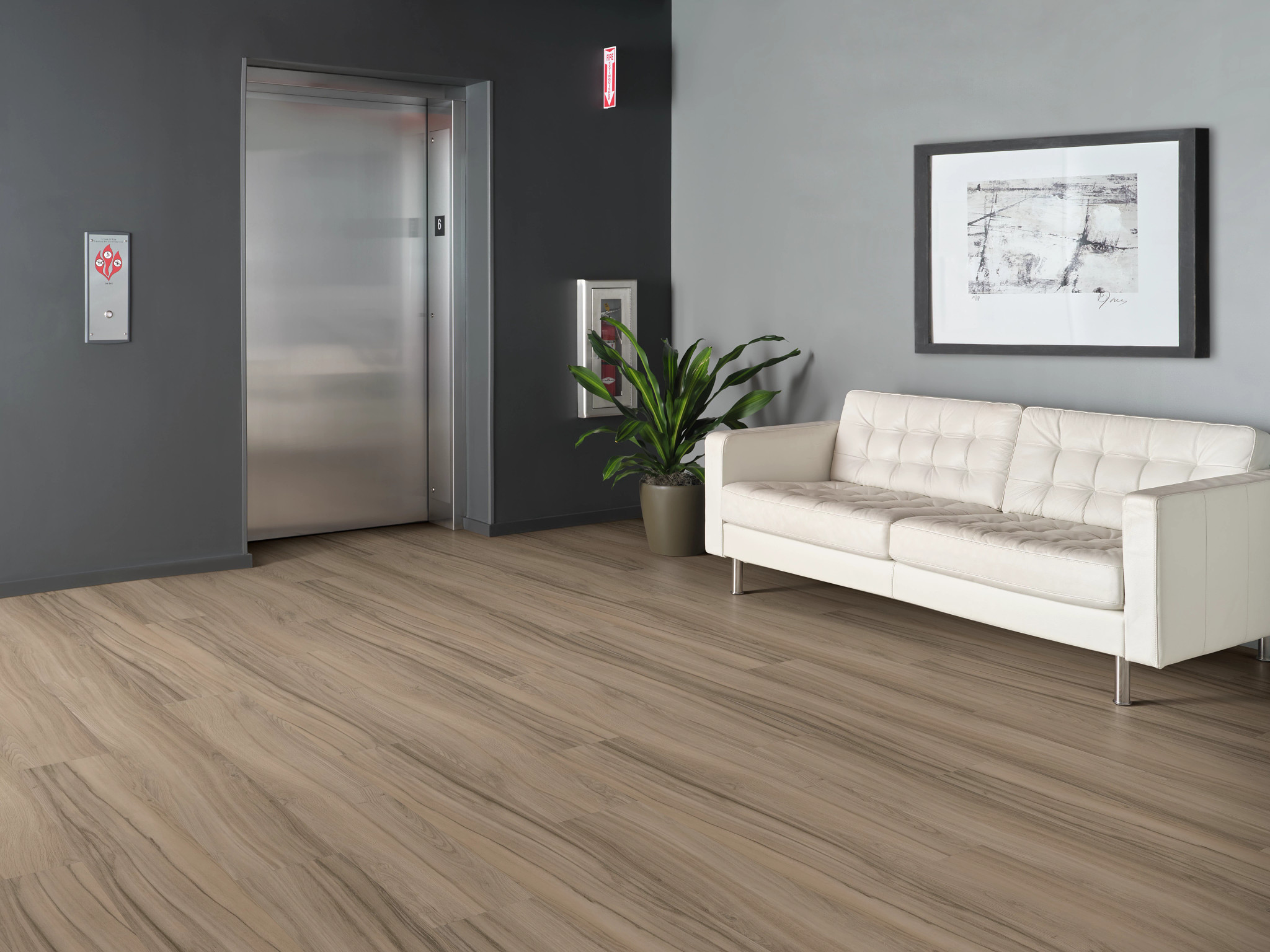 REWILD-5667V-GROUNDED-00707-room-image