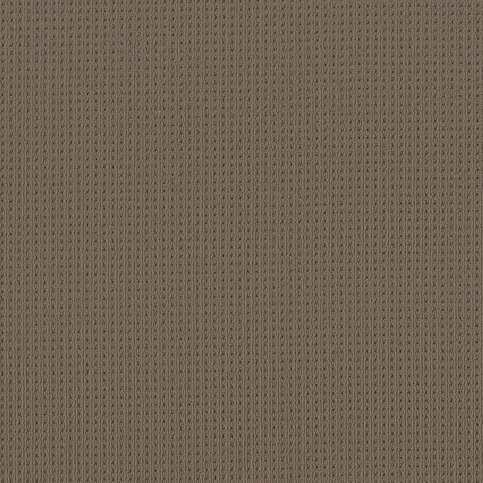 SAN LUCAS SHINGLE MAIN