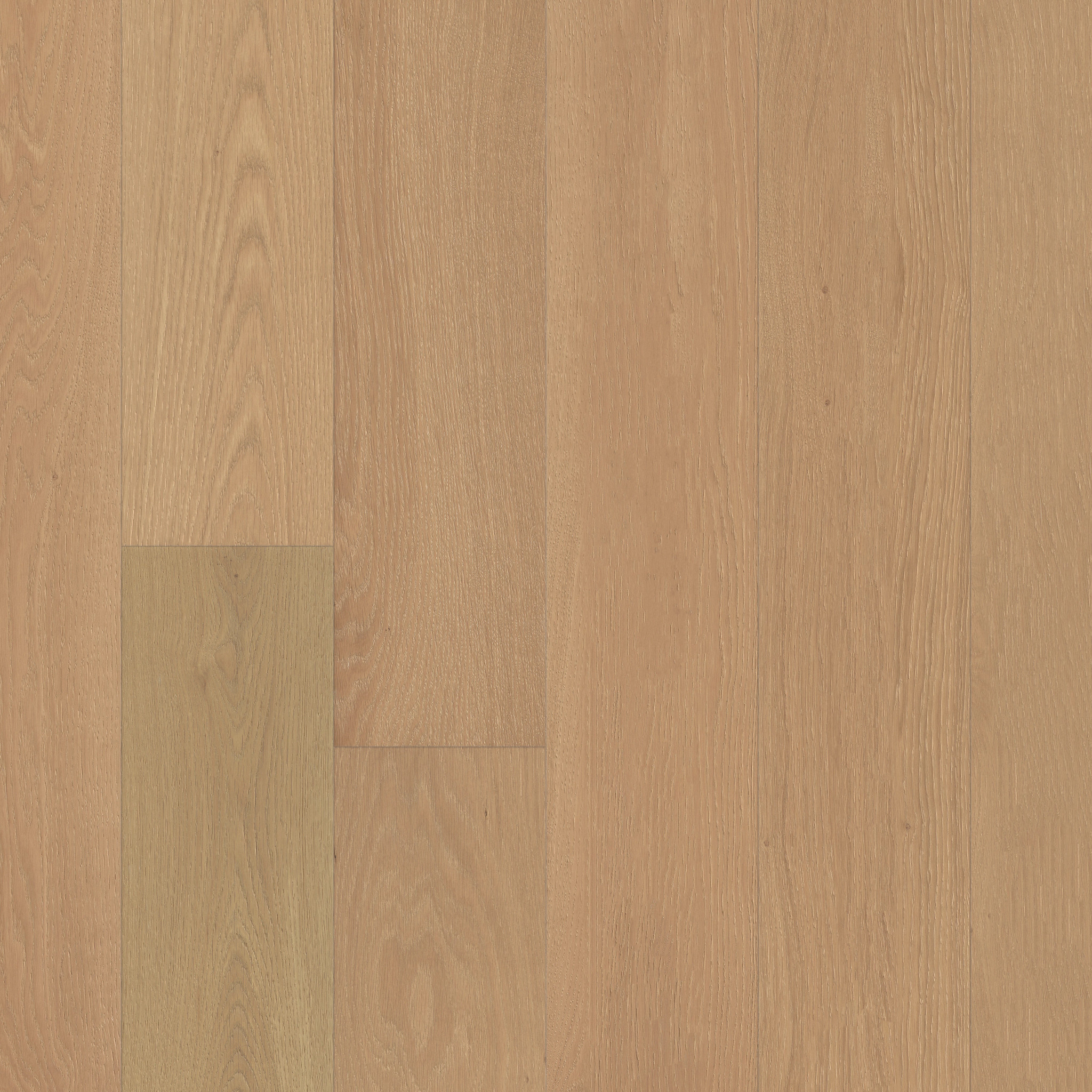 CARPENTRY OAK TERRAIN MAIN