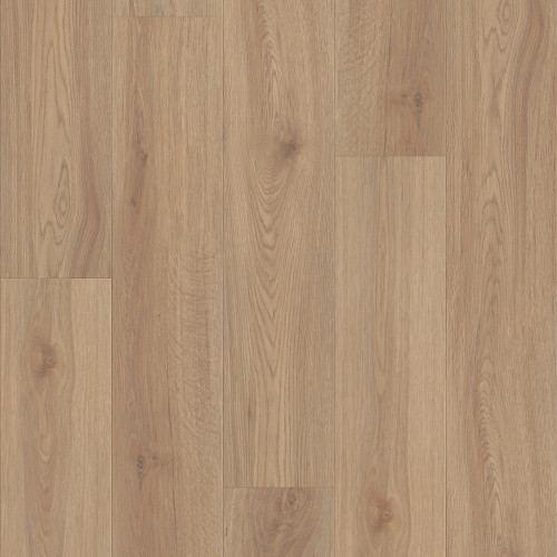 Springfield Oak