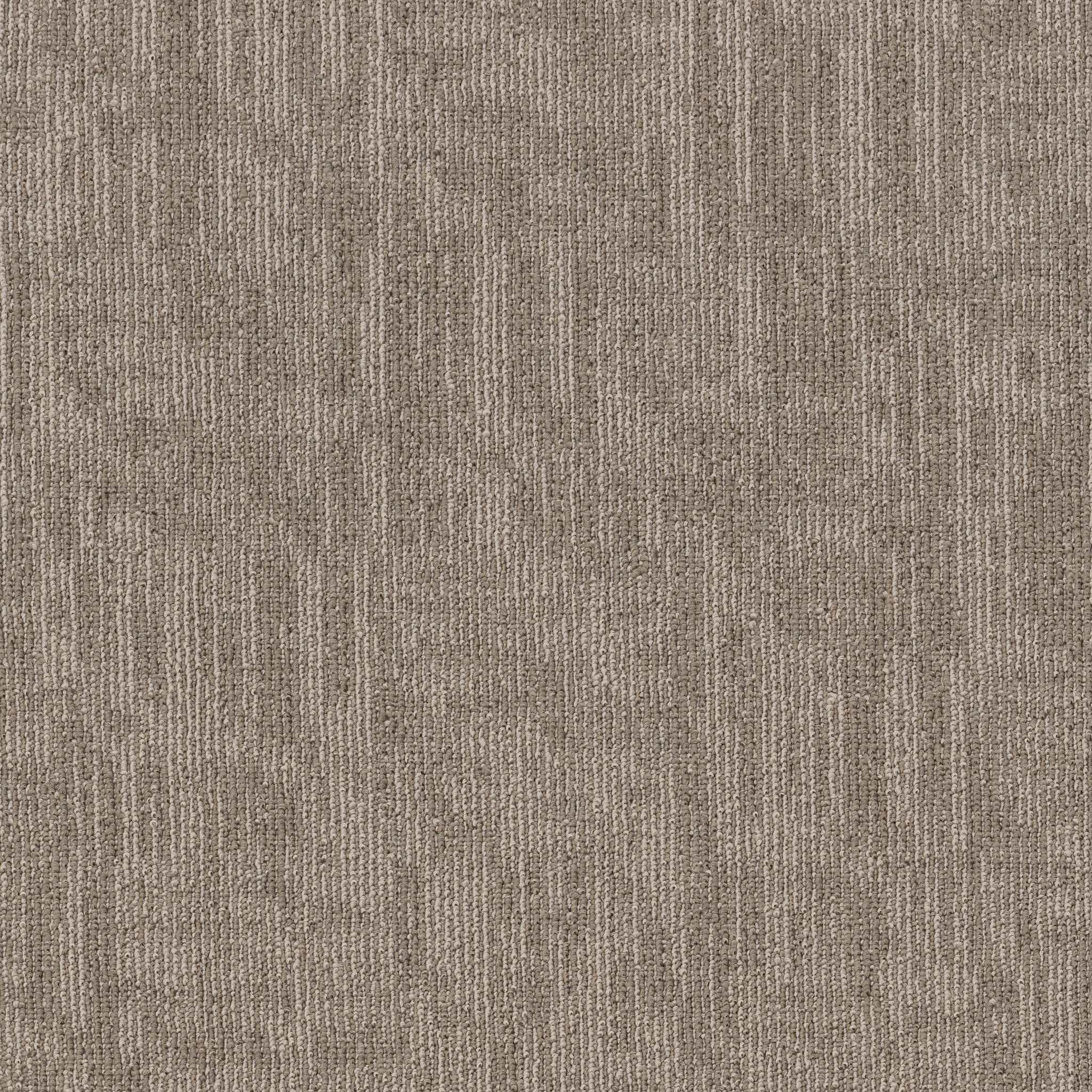 CARBON-COPY-II-TL-55027-MANUSCRIPT-06110-main-image