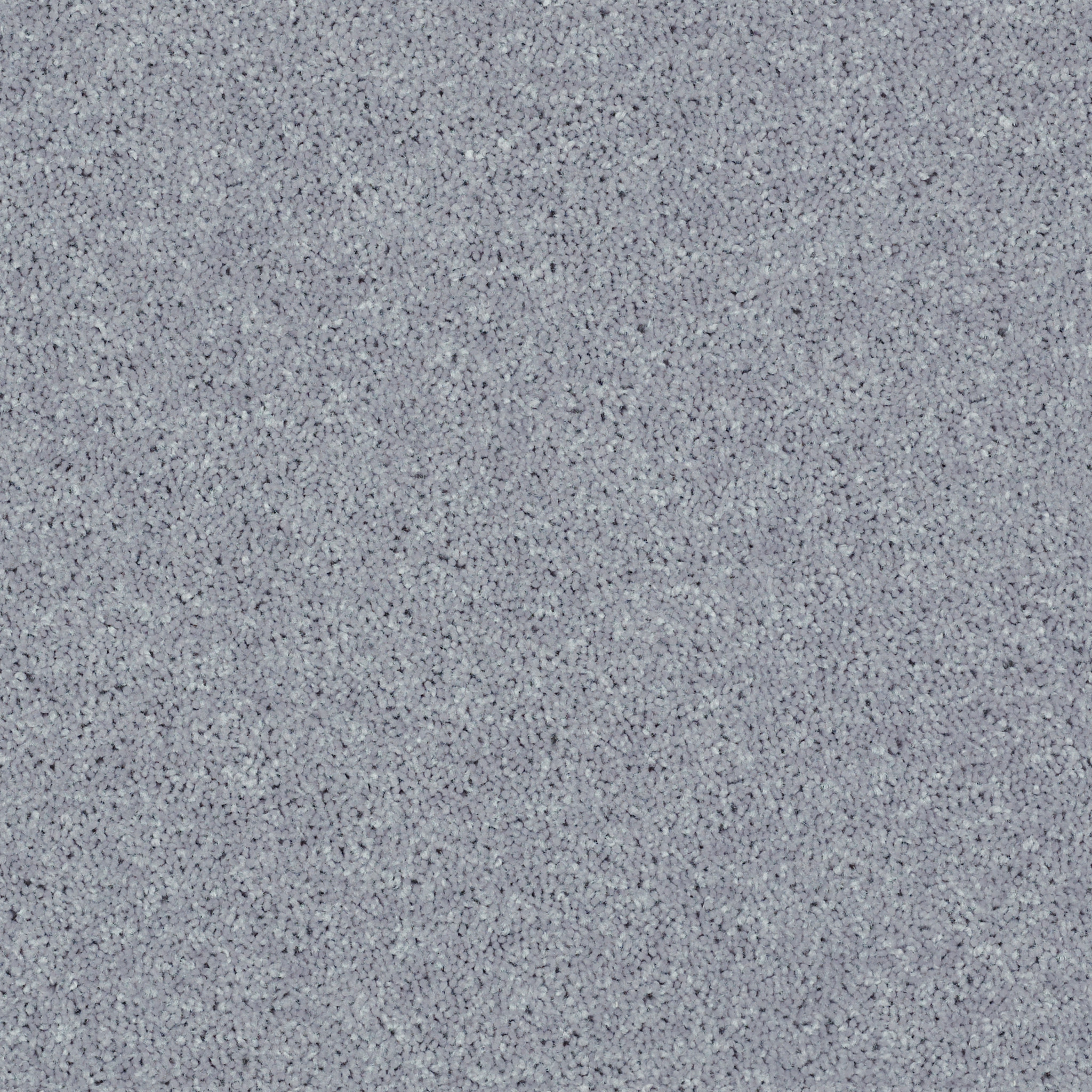 FULL COURT 12' DOLPHIN MAIN