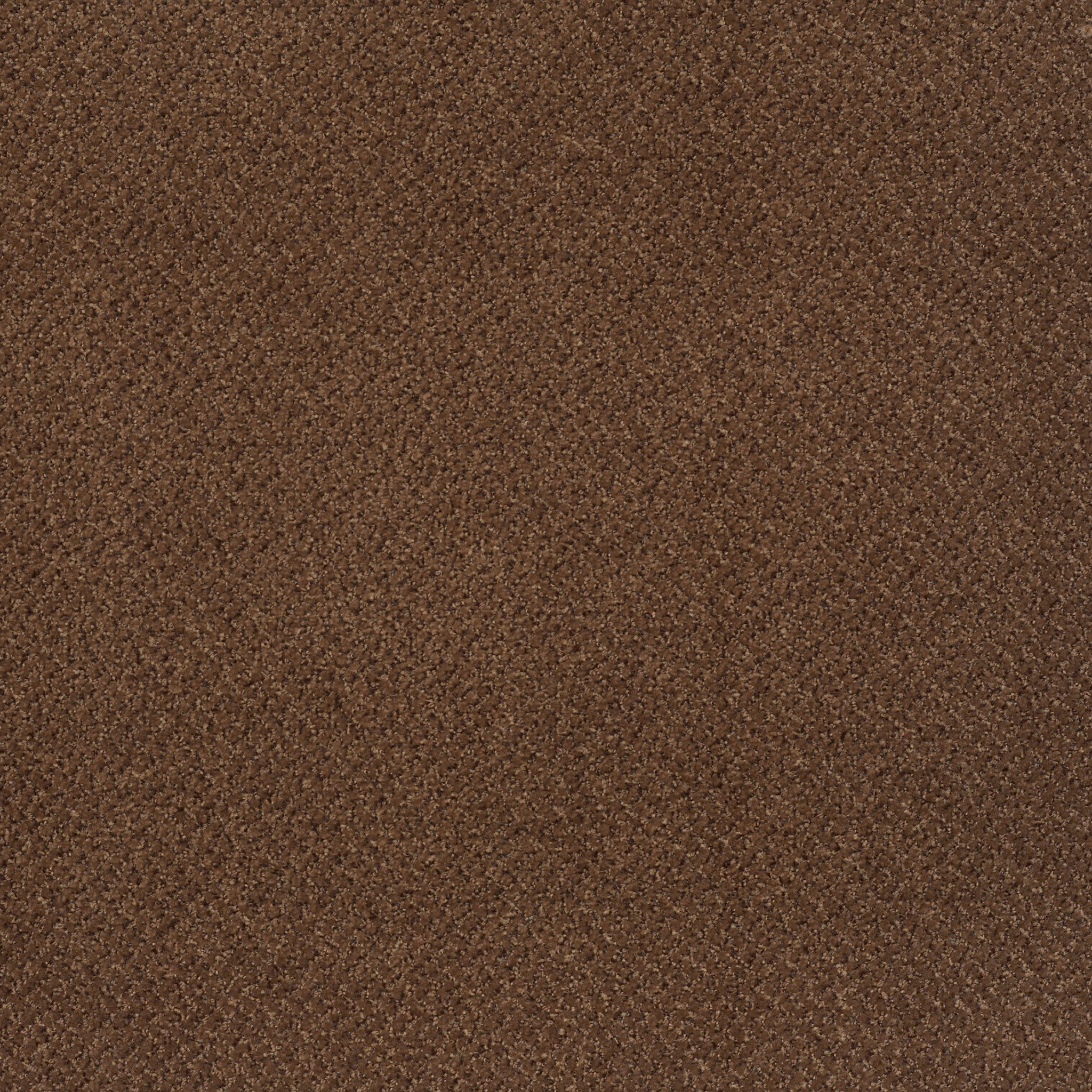 PRESTIGE-J0174-BLESSED-74730-main-image