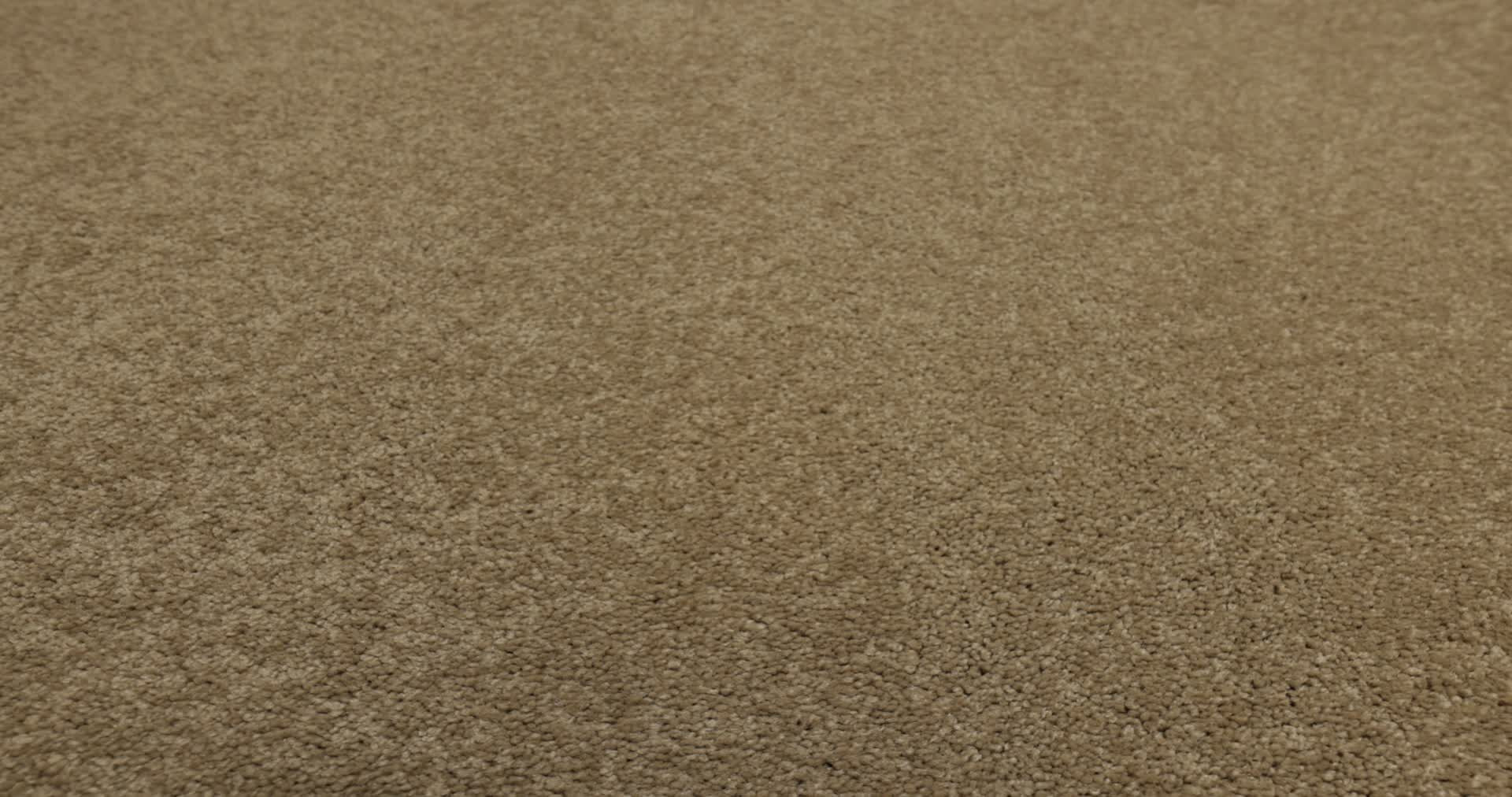 MAGIC AT LAST I 12' MALTED MILK 360PROD