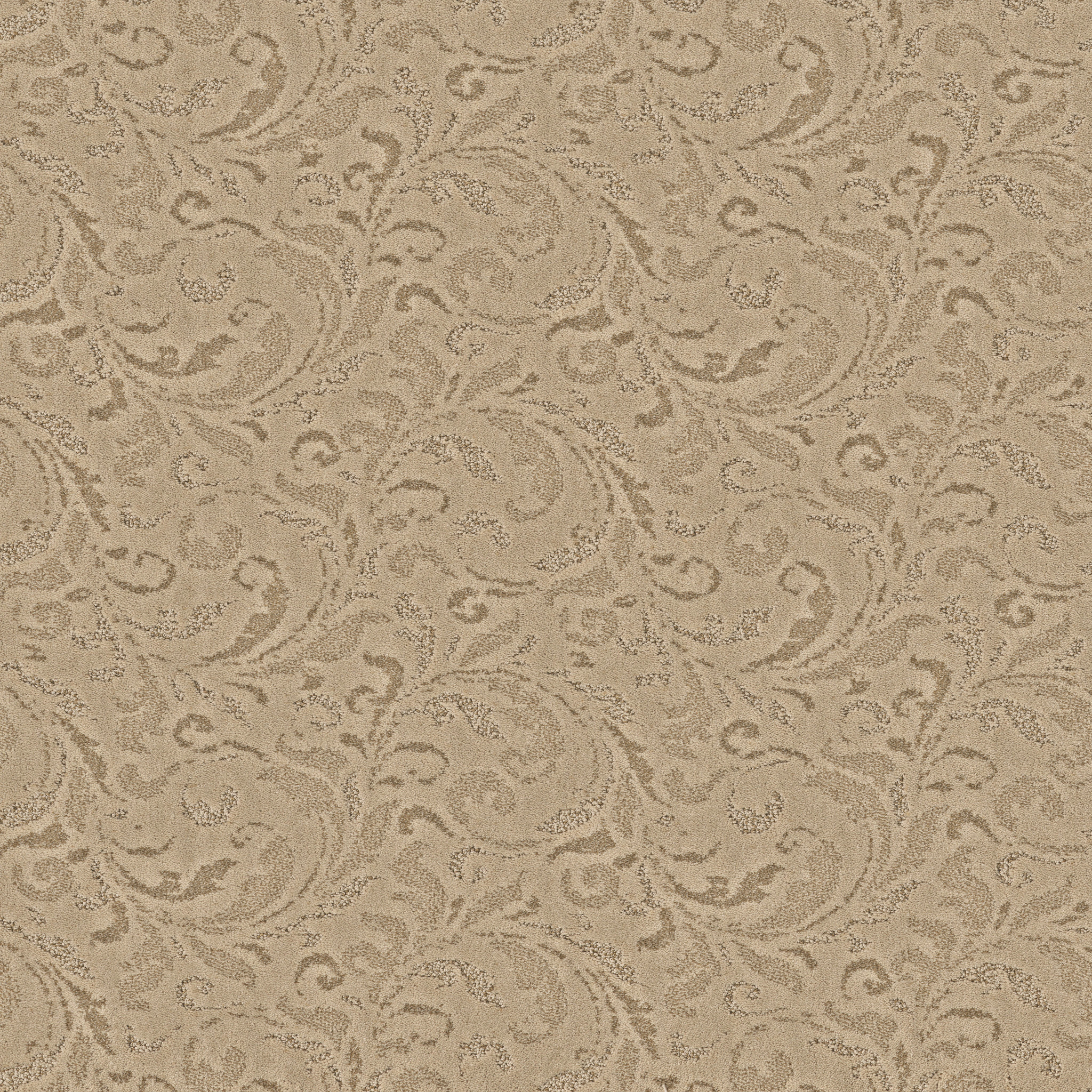 CHARISMATIC BEACH GRASS MAIN