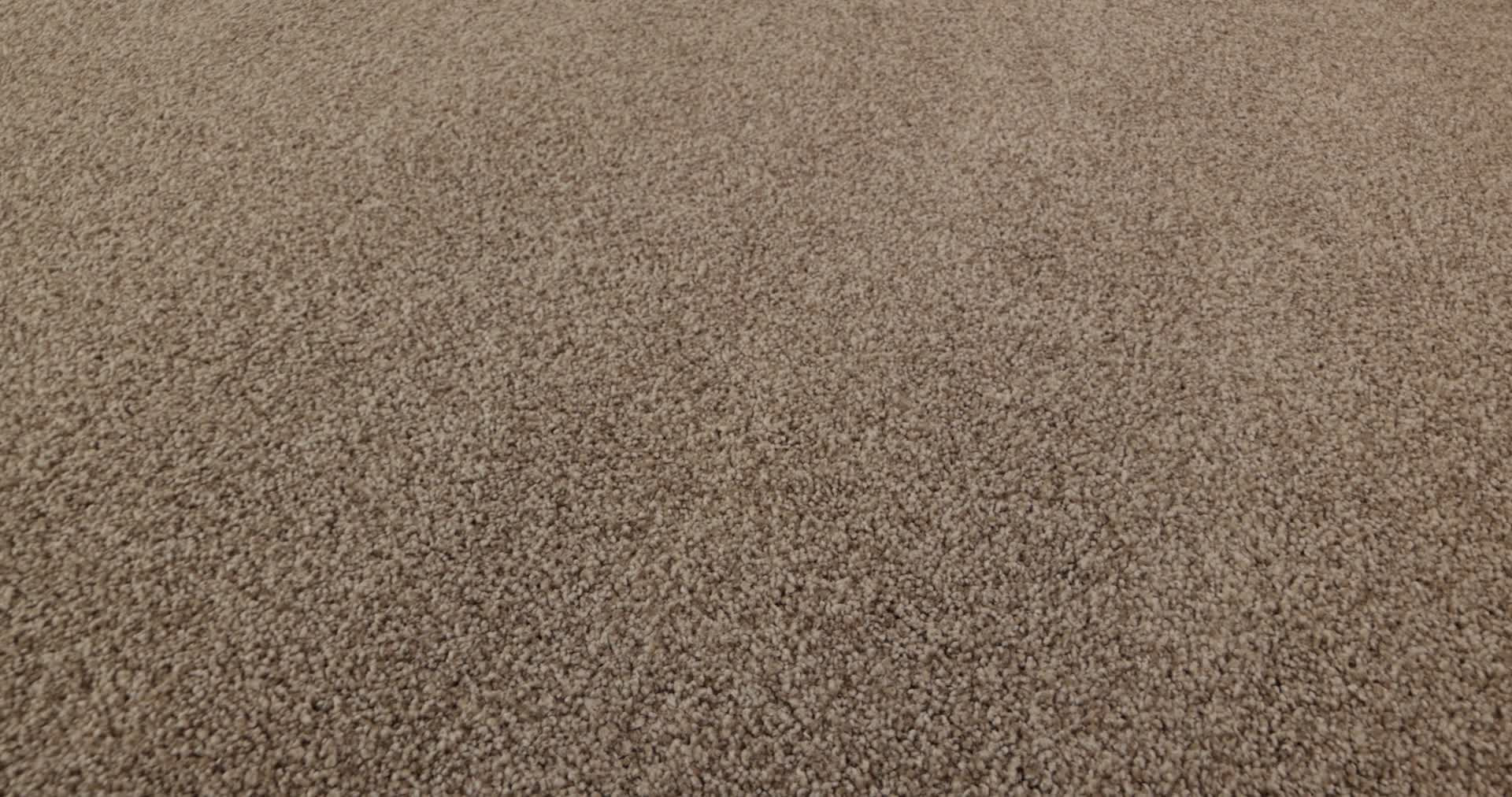 Find your comfort II - Tonal CAMPING TRIP (T 360PROD