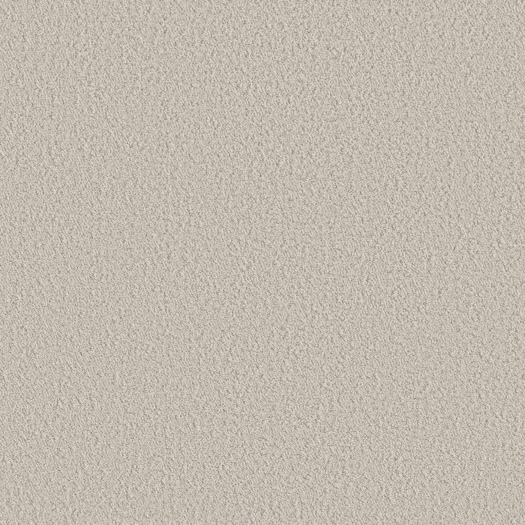 Aerial View by Shaw Floors