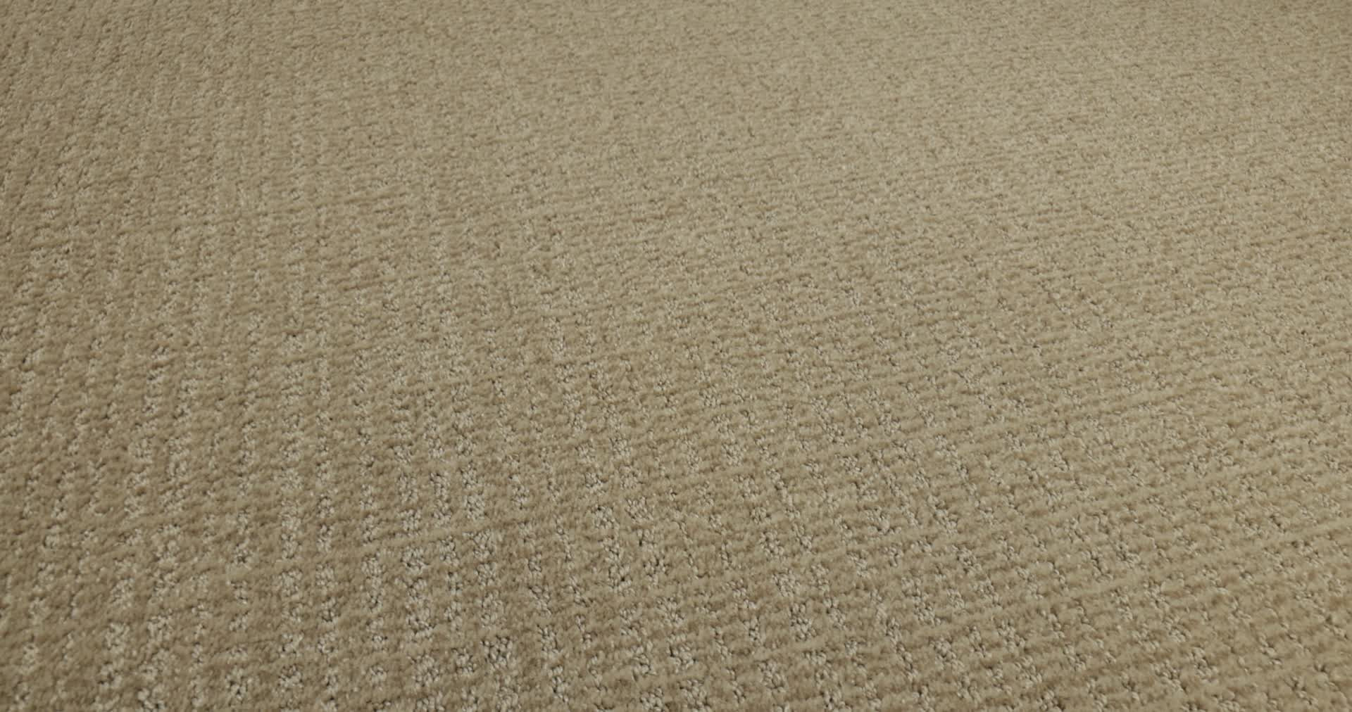 SIERRA VISTA LEATHER 360PROD