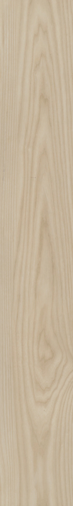 PARAGON HD+NATURAL BEVEL SAVONA 1TO1