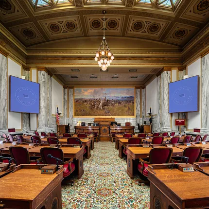 Luxurious carpet design for government facilities Ornate carpet flooring in a government legislative chamber