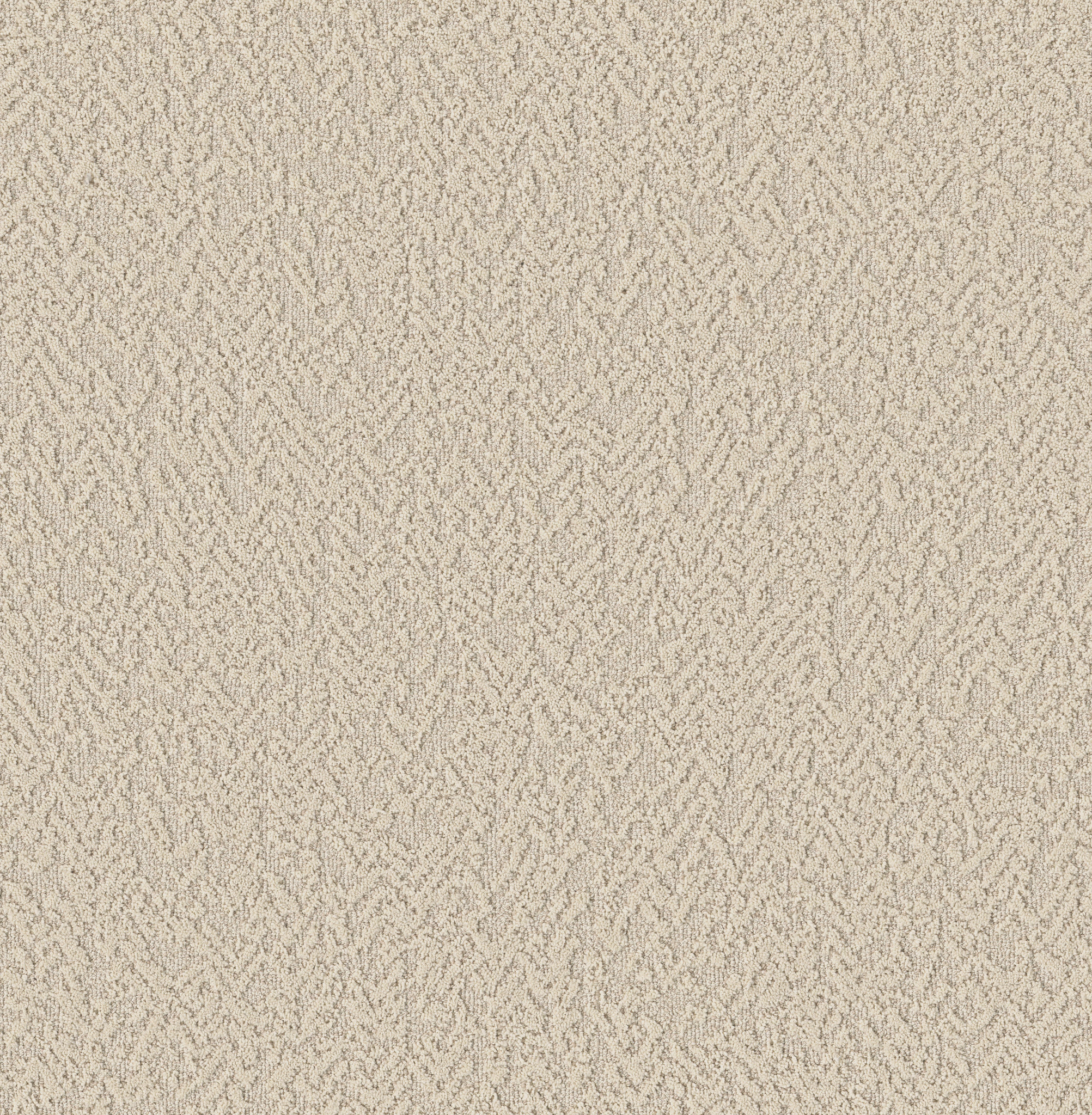 JOYFUL SPIRIT WHISKERS MAIN