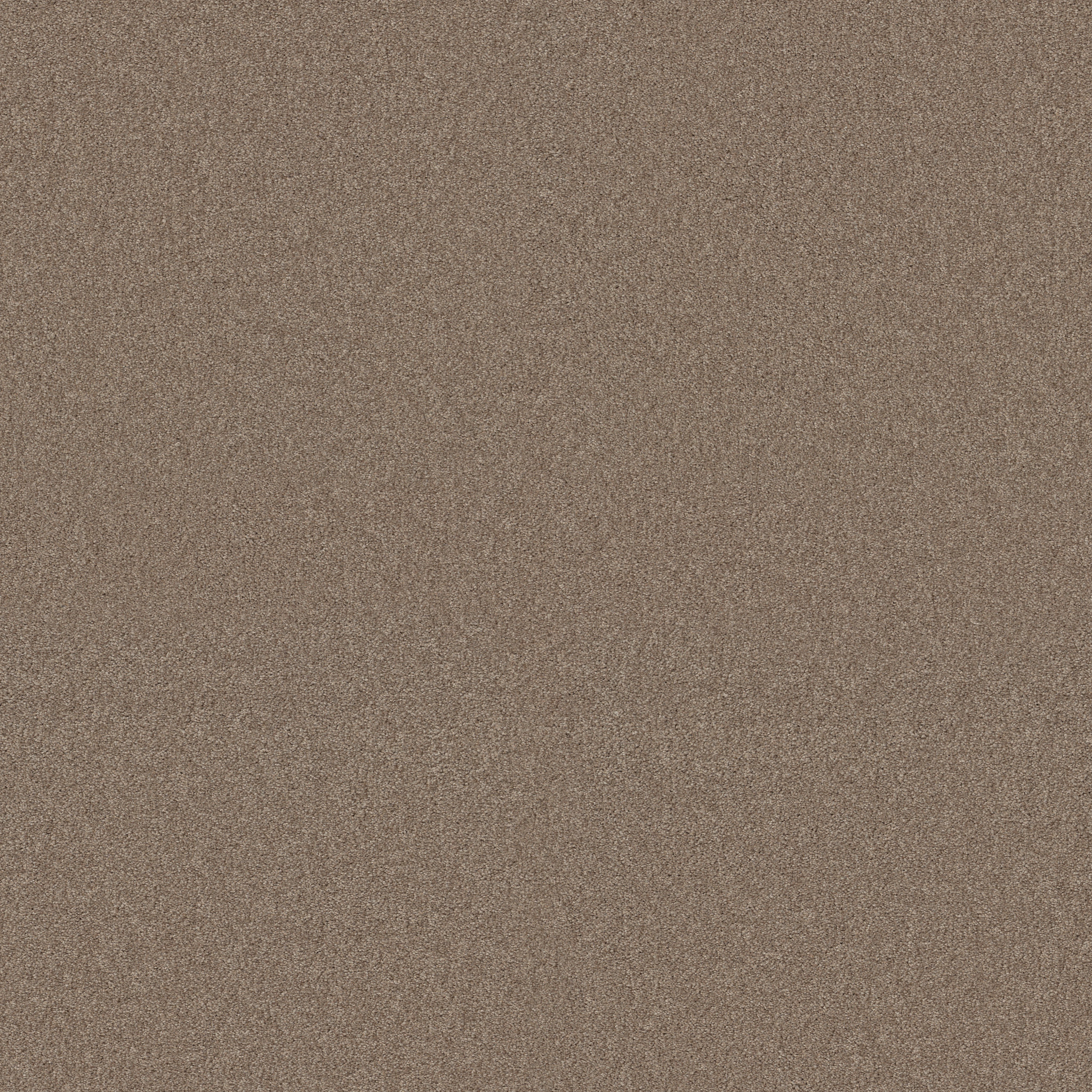 Find your comfort I - Solid CAMPING TRIP (S MAIN