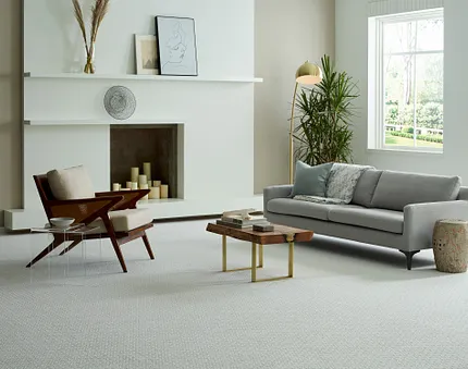Contemporary Living Room with Light Gray Flooring and Modern Decor Modern living room with light gray soft surface flooring, featuring a gray sofa, wooden chair, and decorative elements.