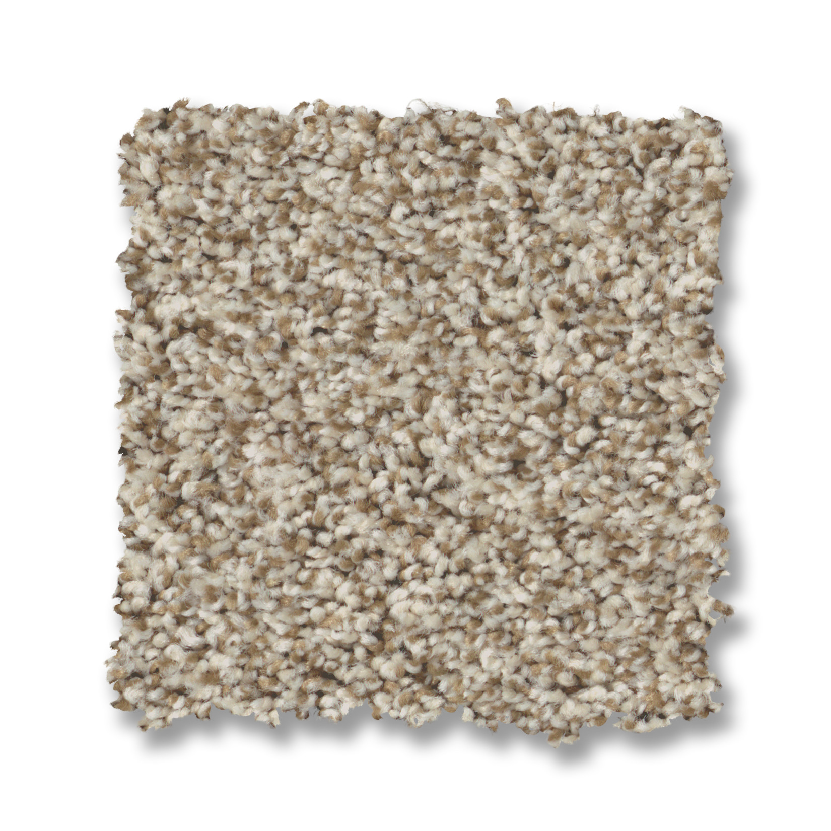 PRESCOTT VALLEY MEDITATION SWATCH