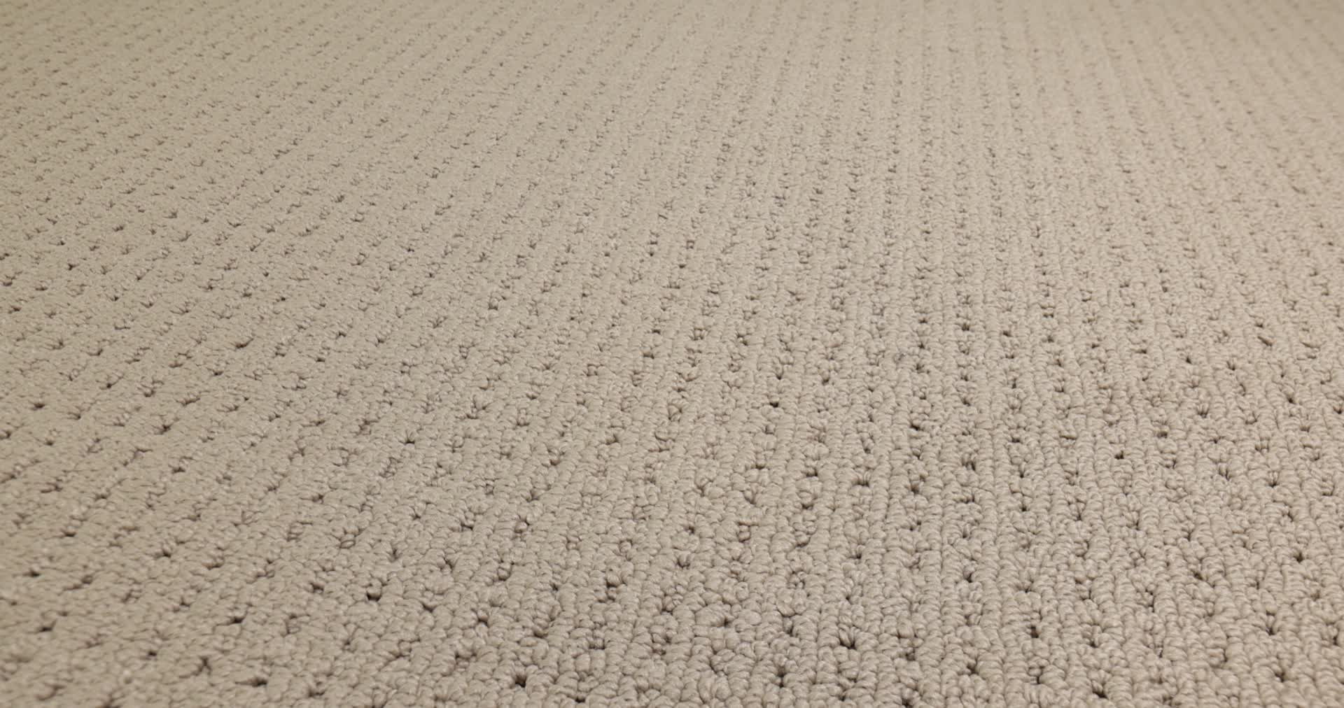 SAN LUCAS LATTE 360PROD