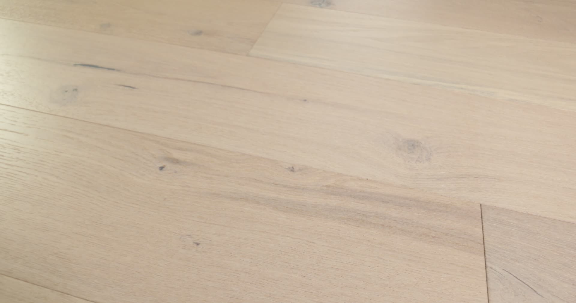 COAST TO COAST SANDBAR 360PROD