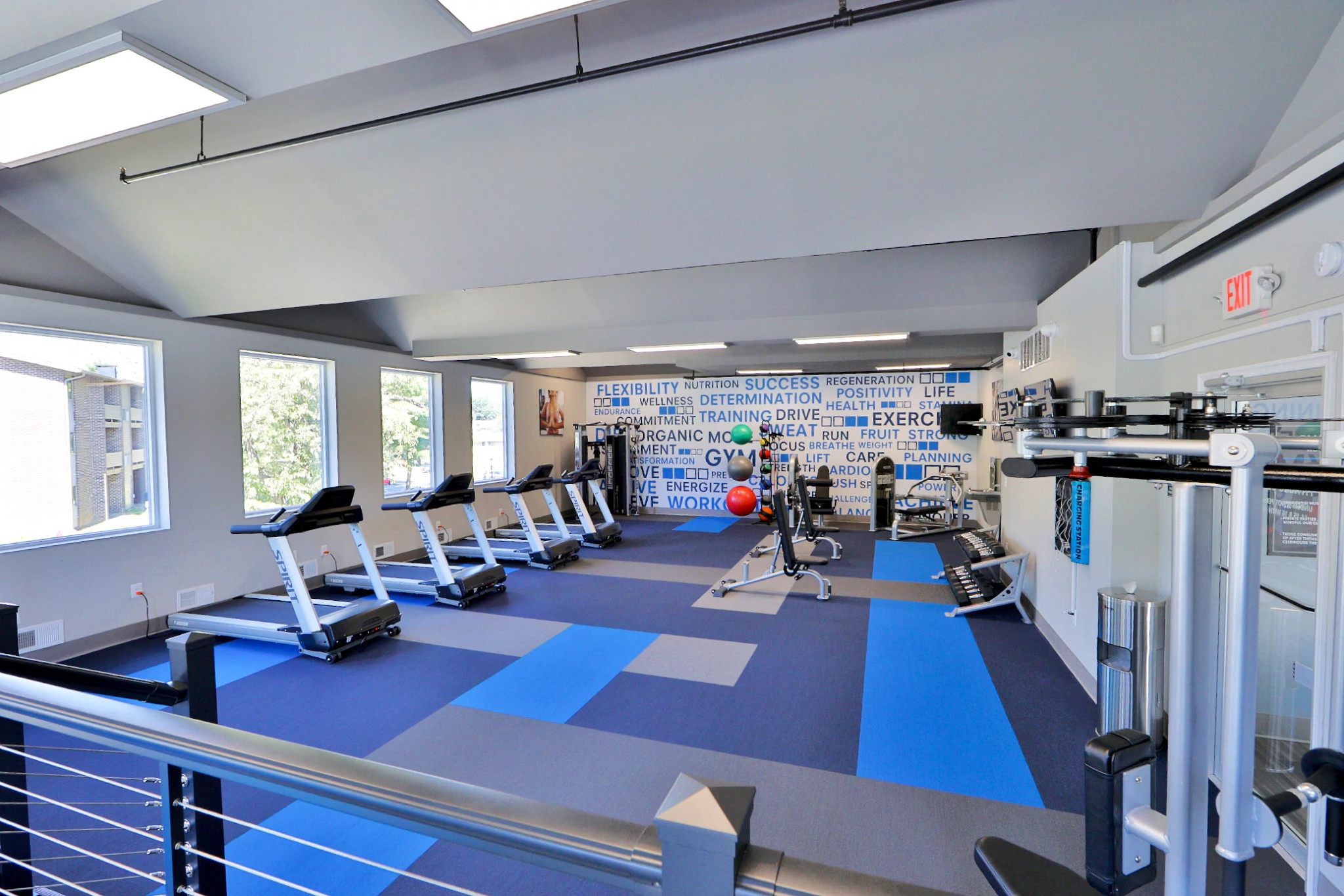 
  "Modern gym with blue and gray patterned carpet flooring, featuring treadmills and exercise equipment"
)