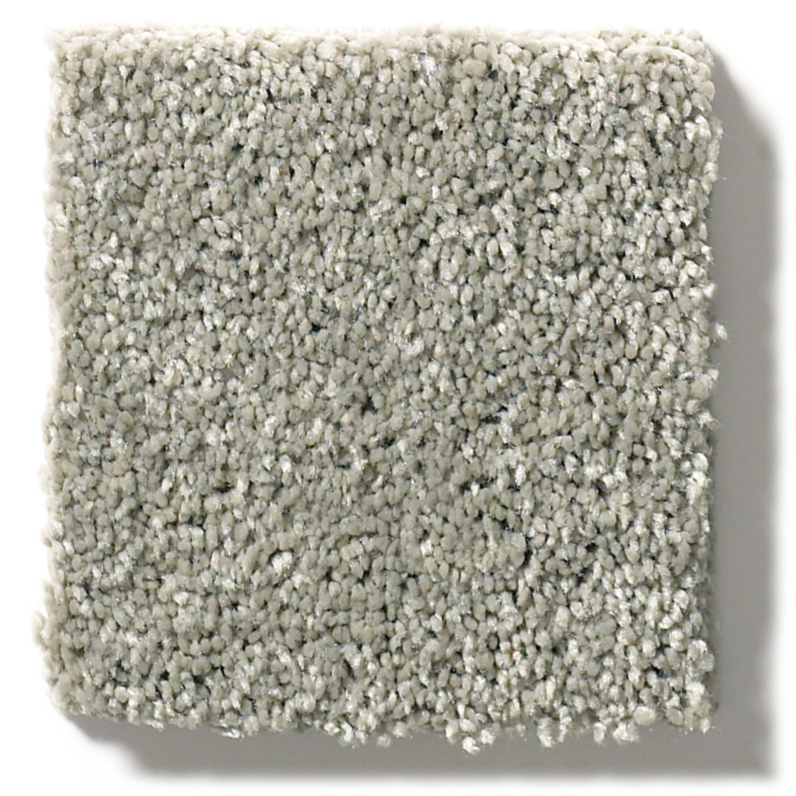 BASIC RULES FLAX SWATCH