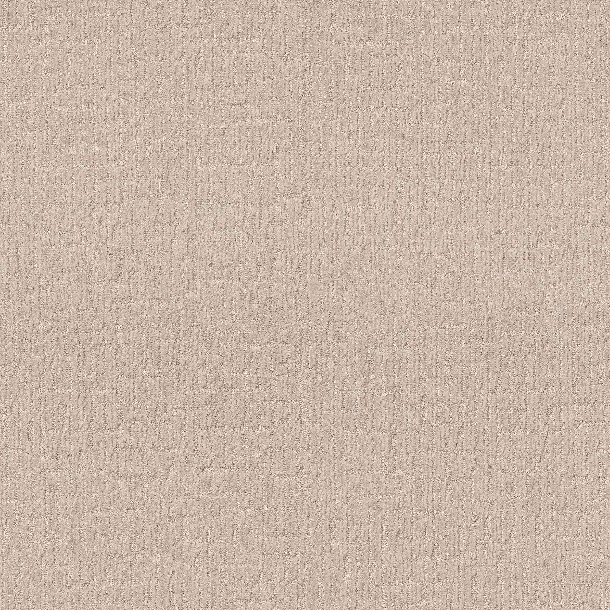 WANDERER COTTON TAIL MAIN