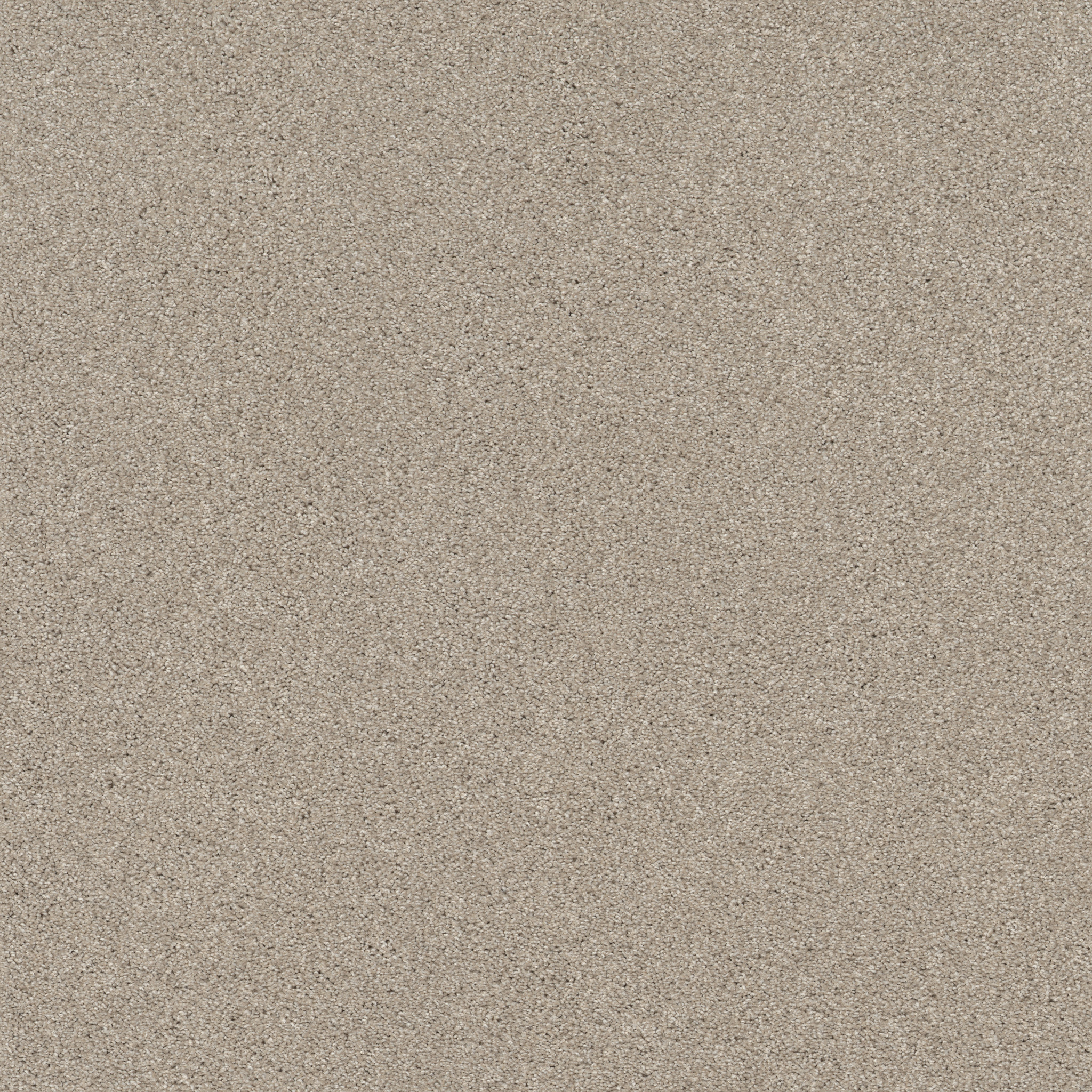 COZY HARBOR II SANDSTONE MAIN