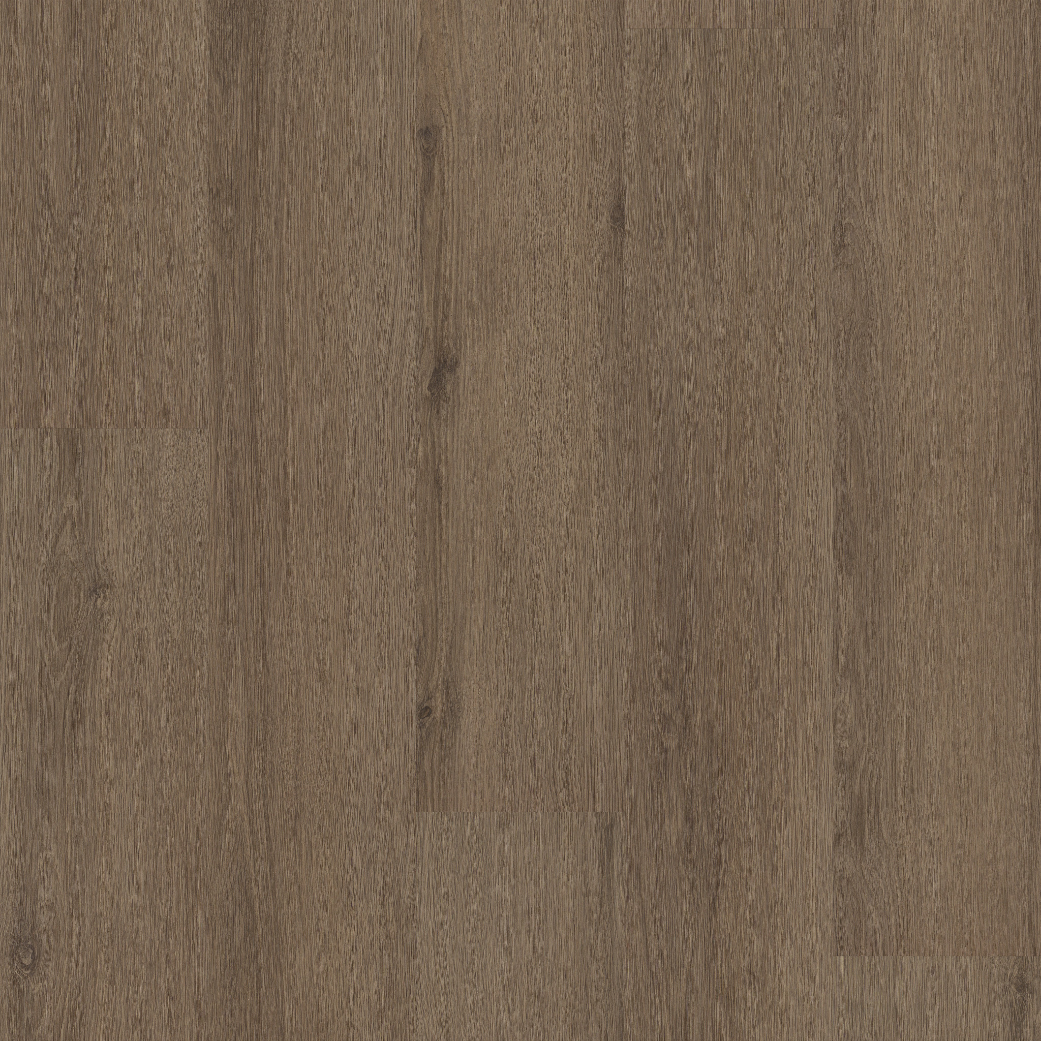 NATURAL BEGINNINGS SPC AUTUMN BROWN MAIN