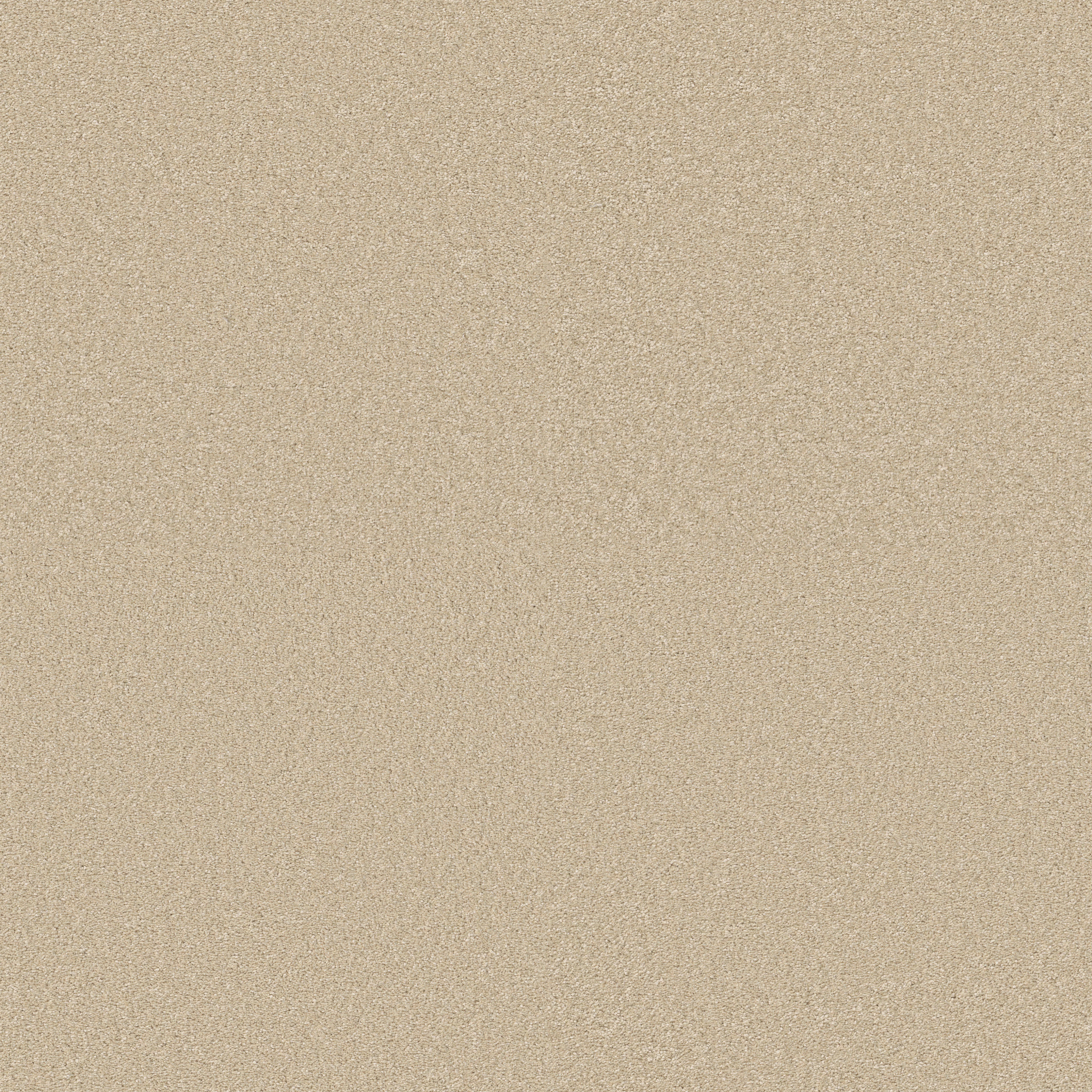 WAY TO GO III WARM BREEZE MAIN