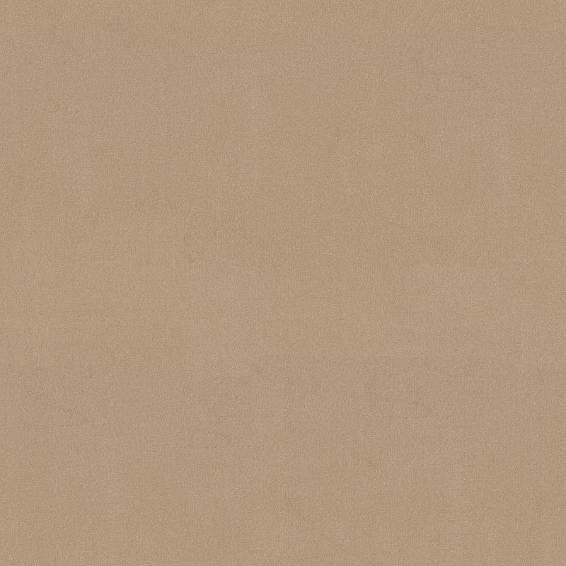 Emphatic 36 Broadloom Carpet in Candlewick color, 100% Nylon, 12ft width