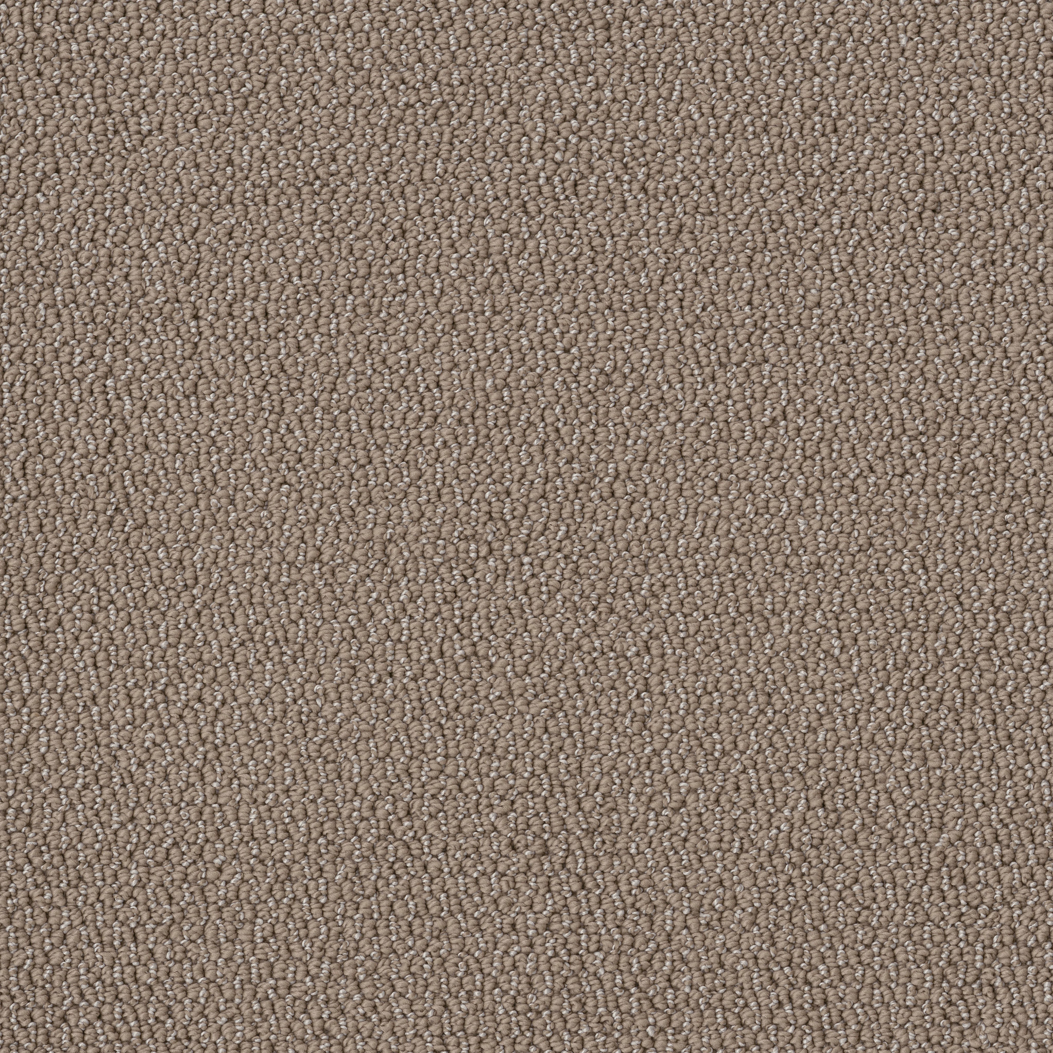 EMBELLISHED RAW WOOD MAIN