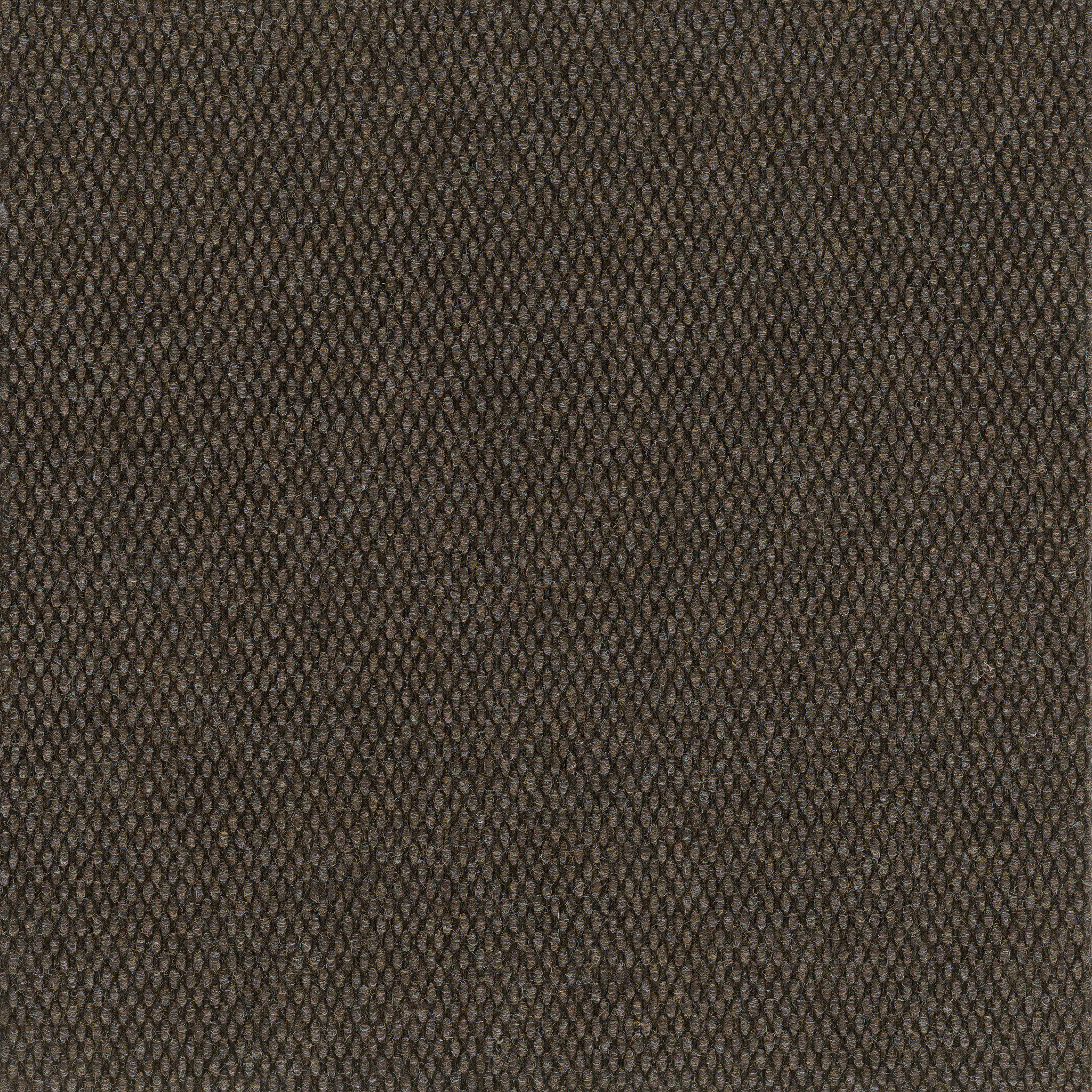 COMMONS-II-54693-VOLCANIC-00701-main-image