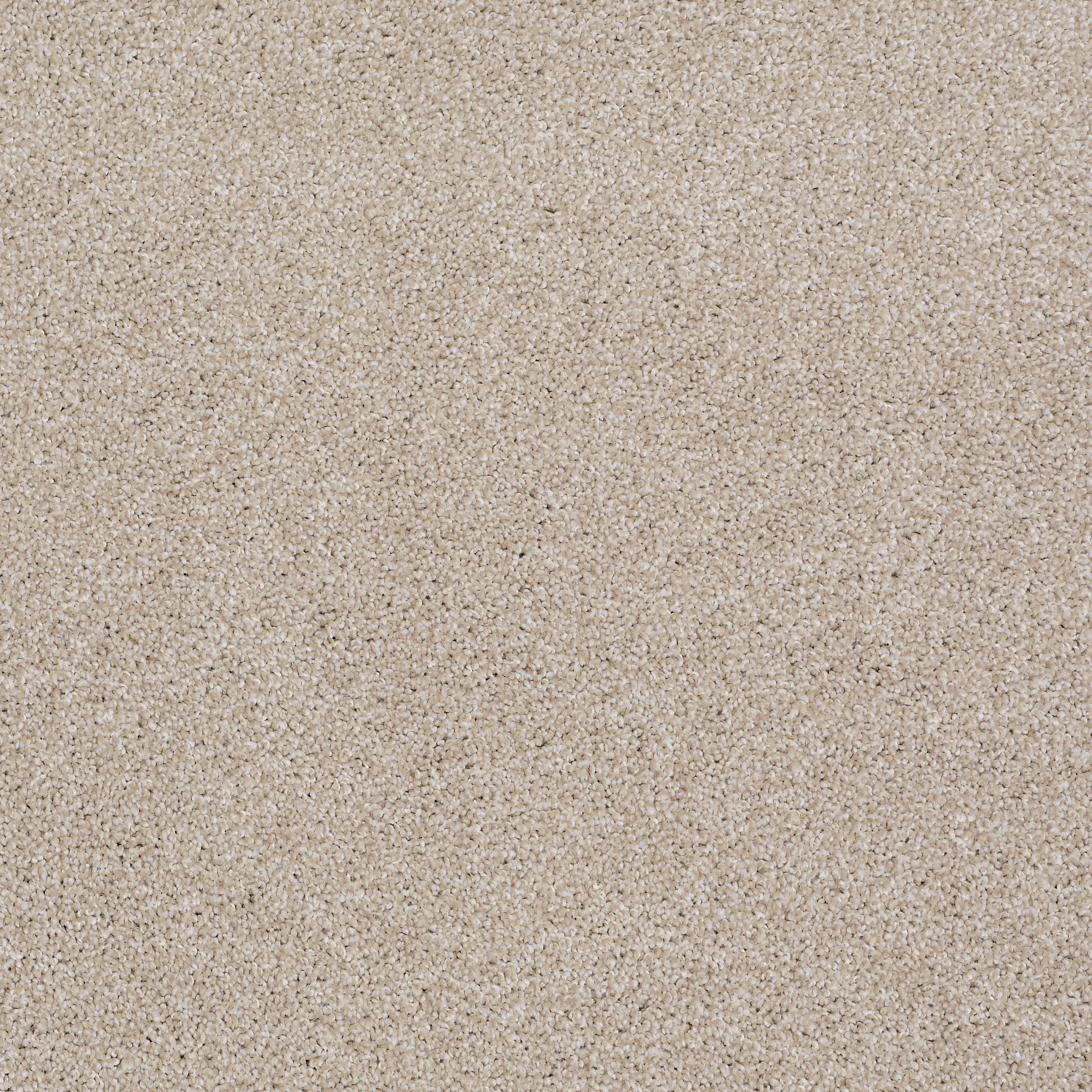 ALWAYS READY II BALANCED BEIGE MAIN