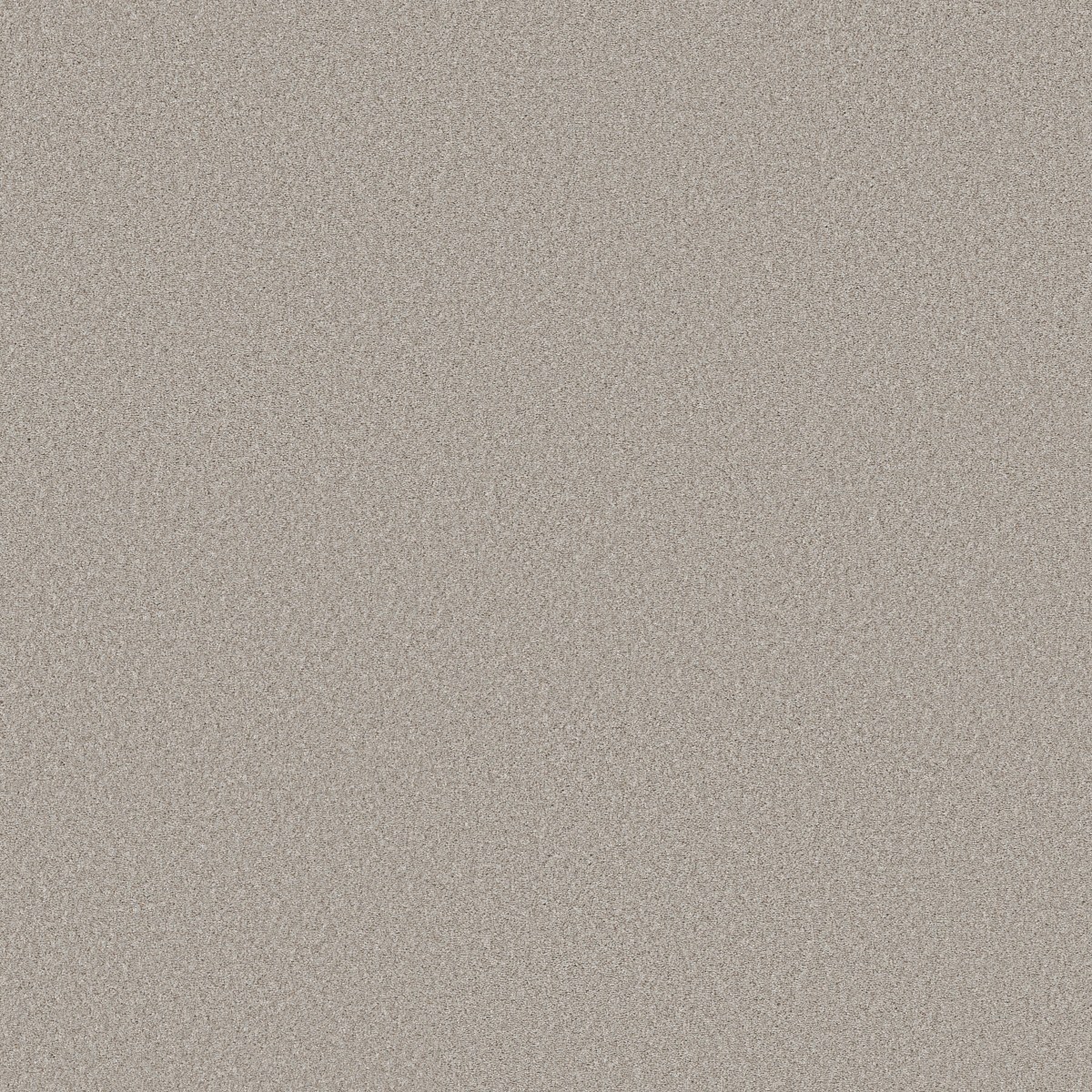 Shaw Floors WONDERLAND I — ANTIQUITY