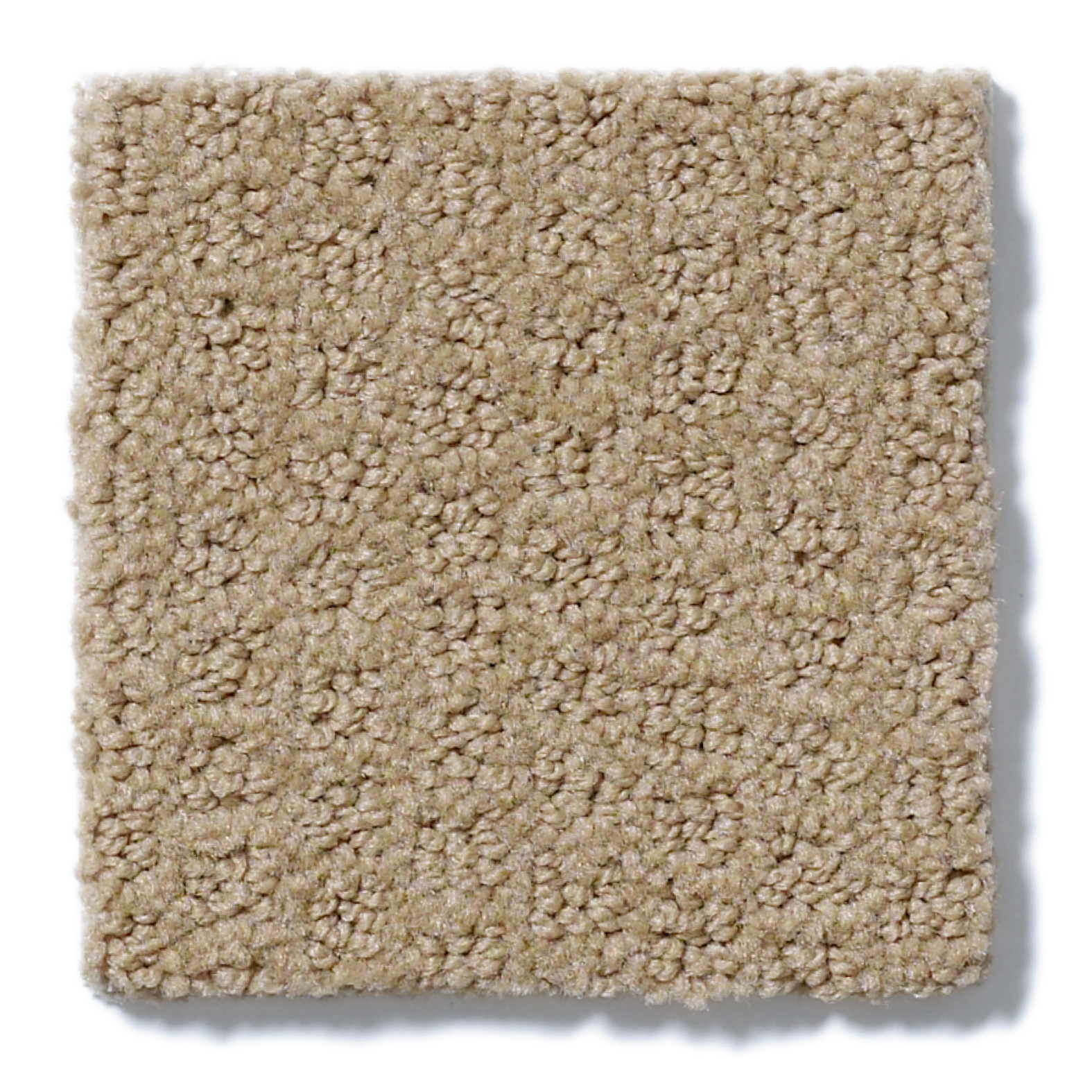 GAINEY RANCH SABLE SWATCH