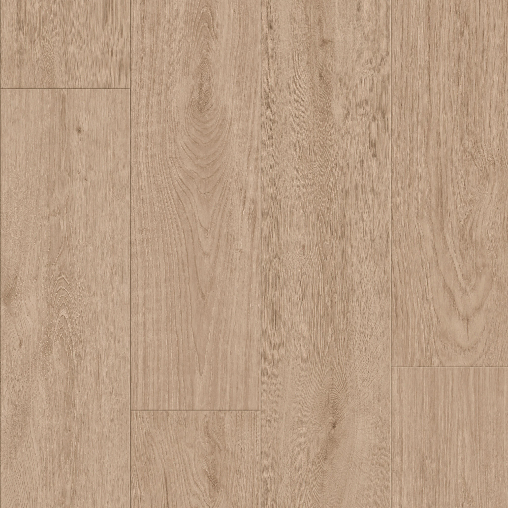 KOMONDOR BUTTERSCOTCH MAIN