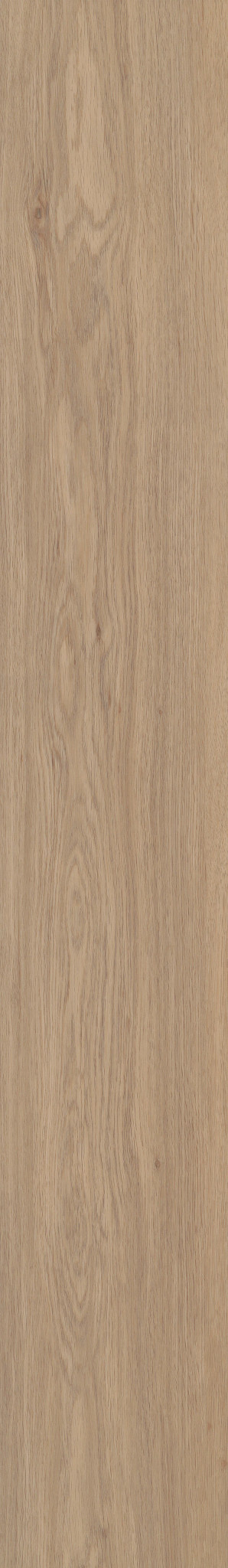 SPRINGFIELD OAK 1TO1