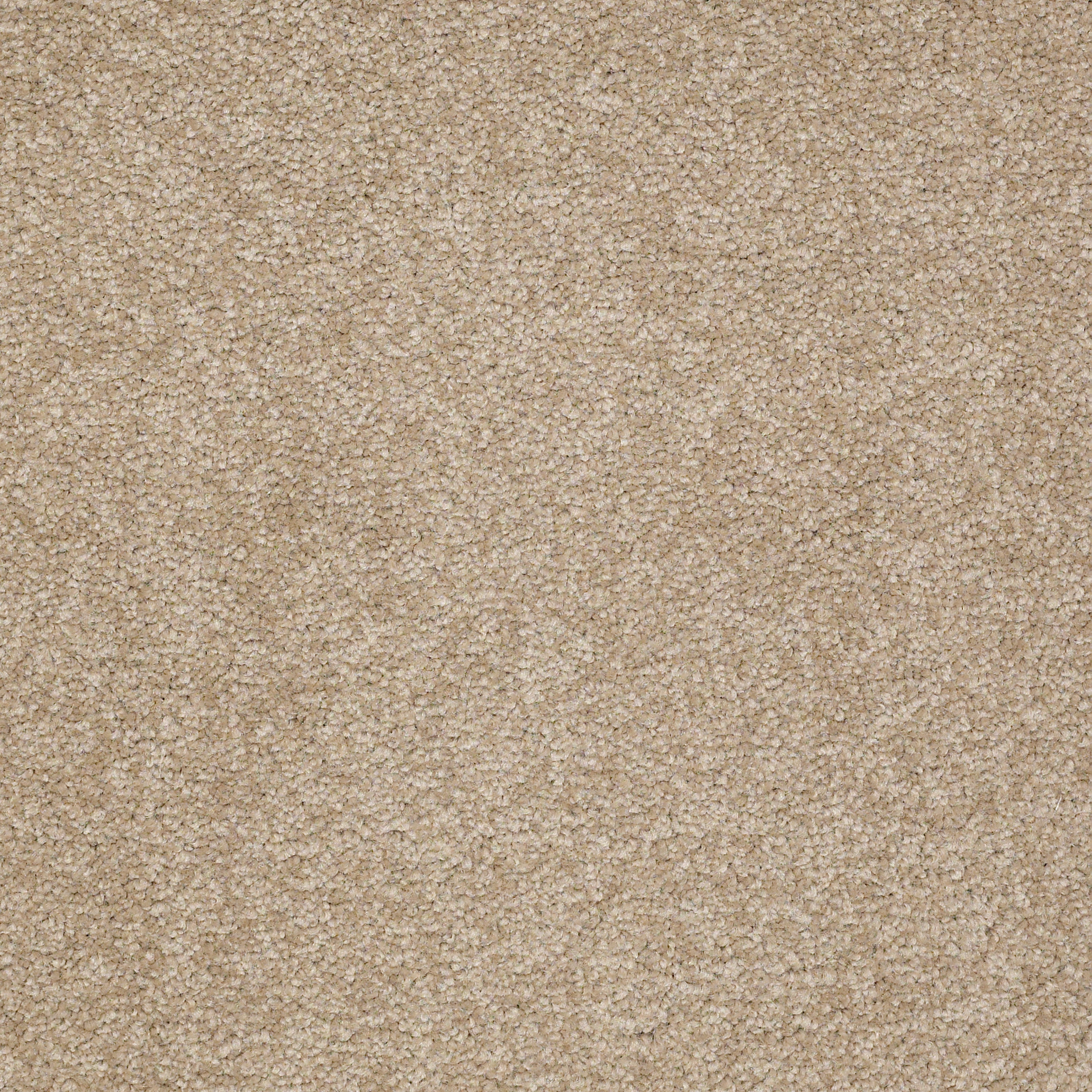 TIMELESS APPEAL III 12' SAHARA MAIN