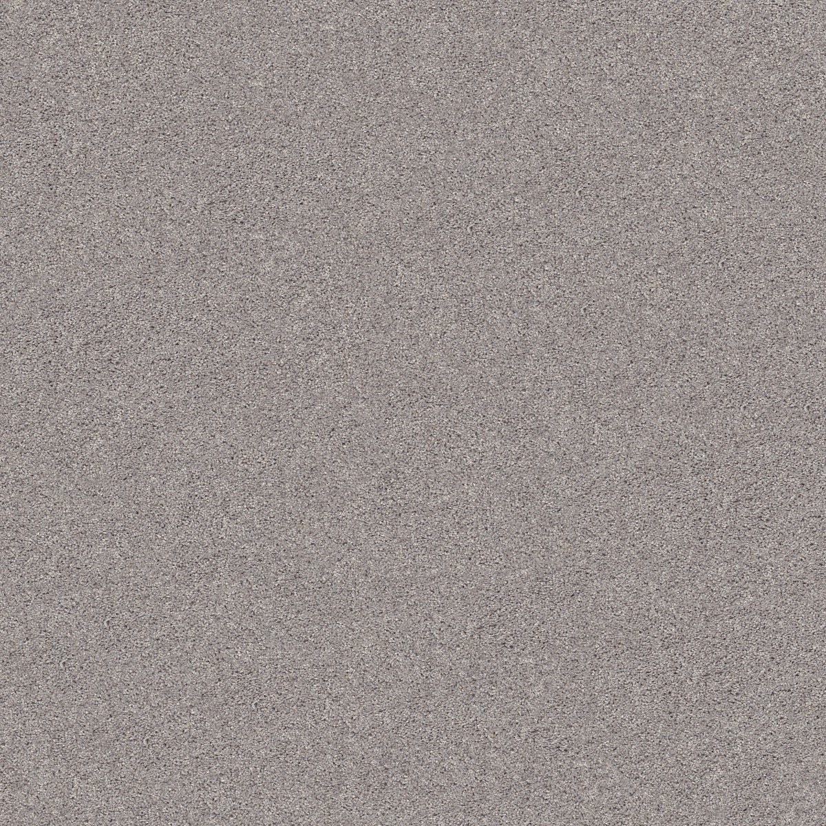 Shaw Floors INLET SHORE II 15' — BRUSHED NICKEL