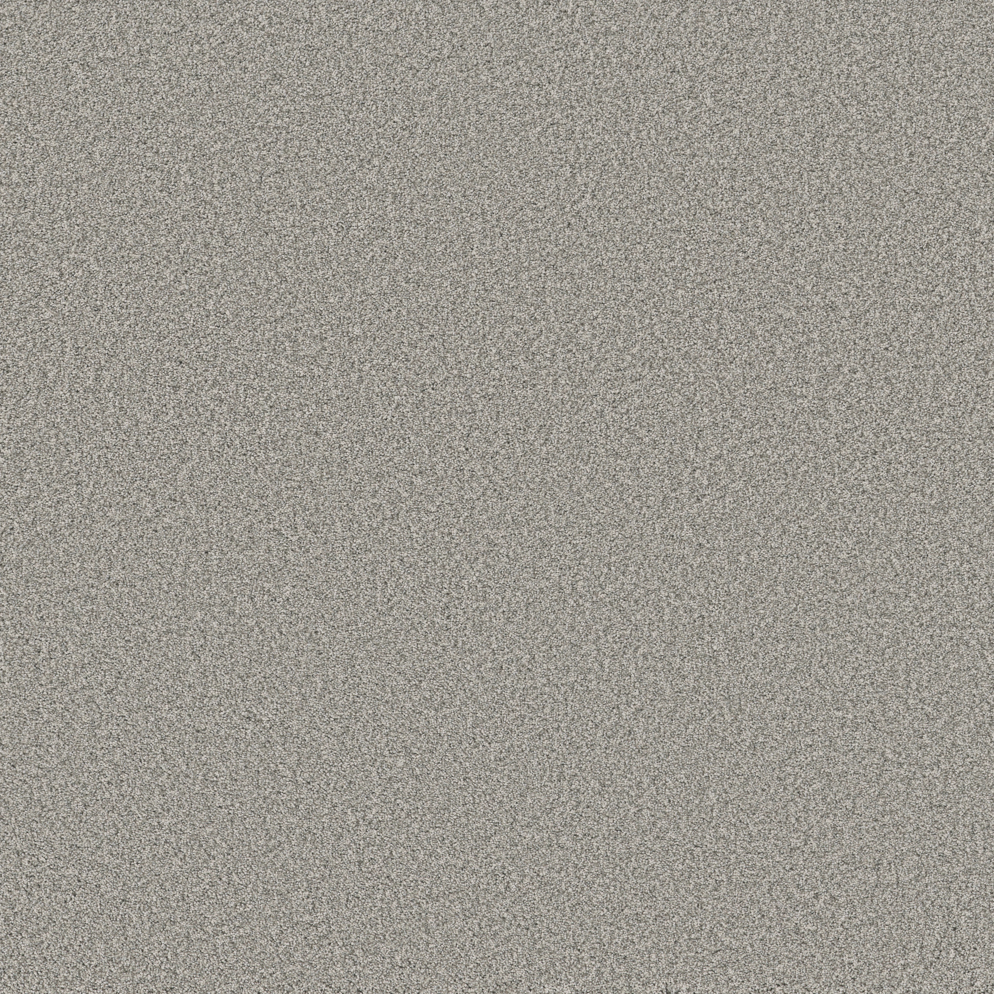 FABULOUS PLATINUM MAIN