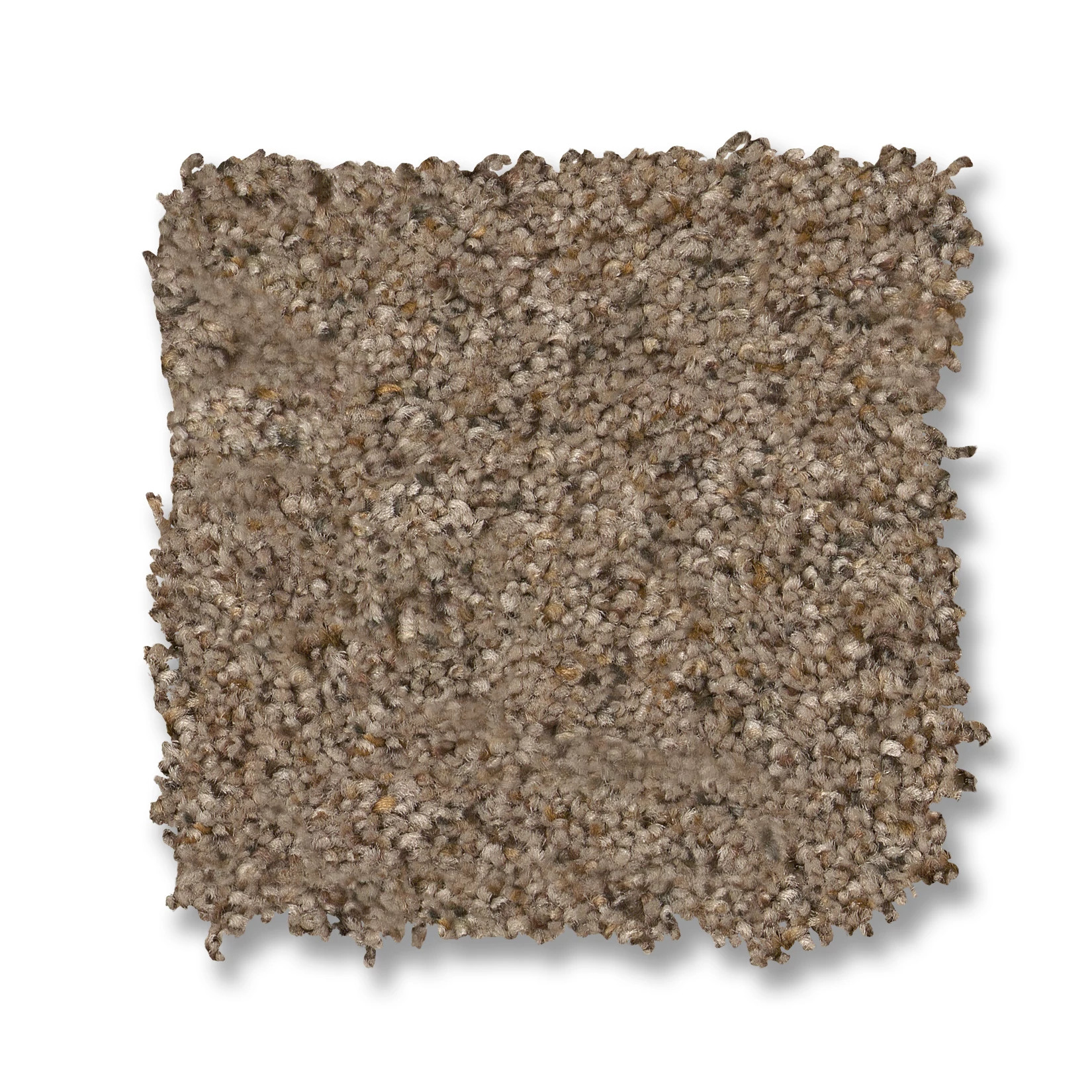 Topanga Canyon BUNGALOW SWATCH