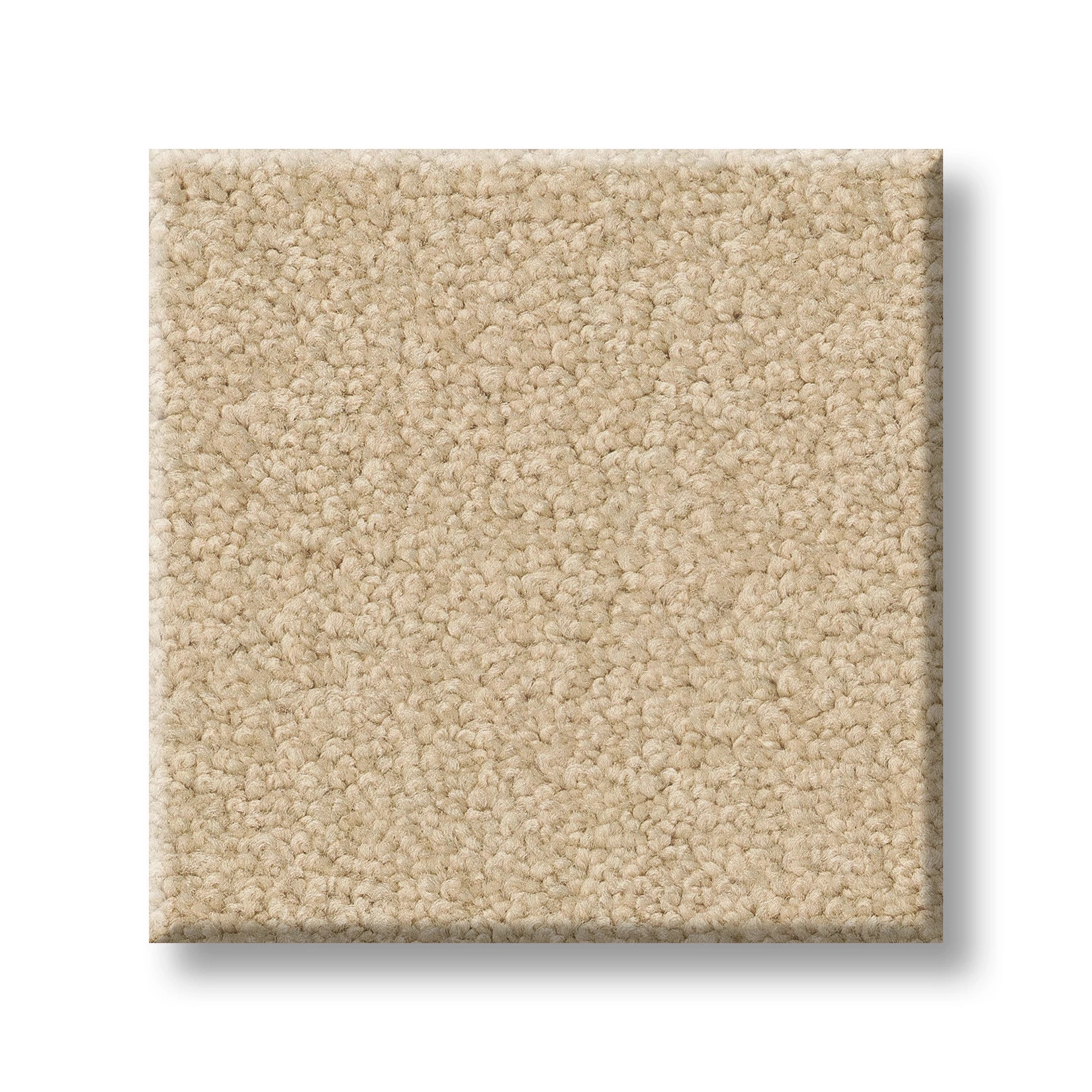 TIMELESS APPEAL III 12' ALMOND FLAKE SWATCH