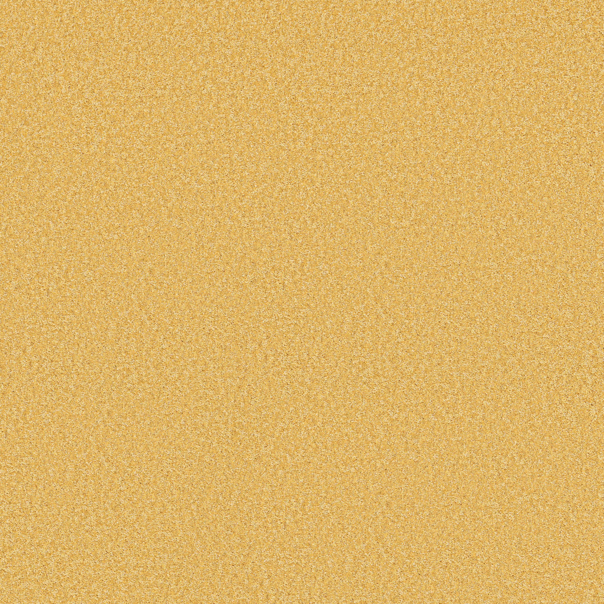 THE BRIGHT SIDE SUNNY SIDE UP MAIN