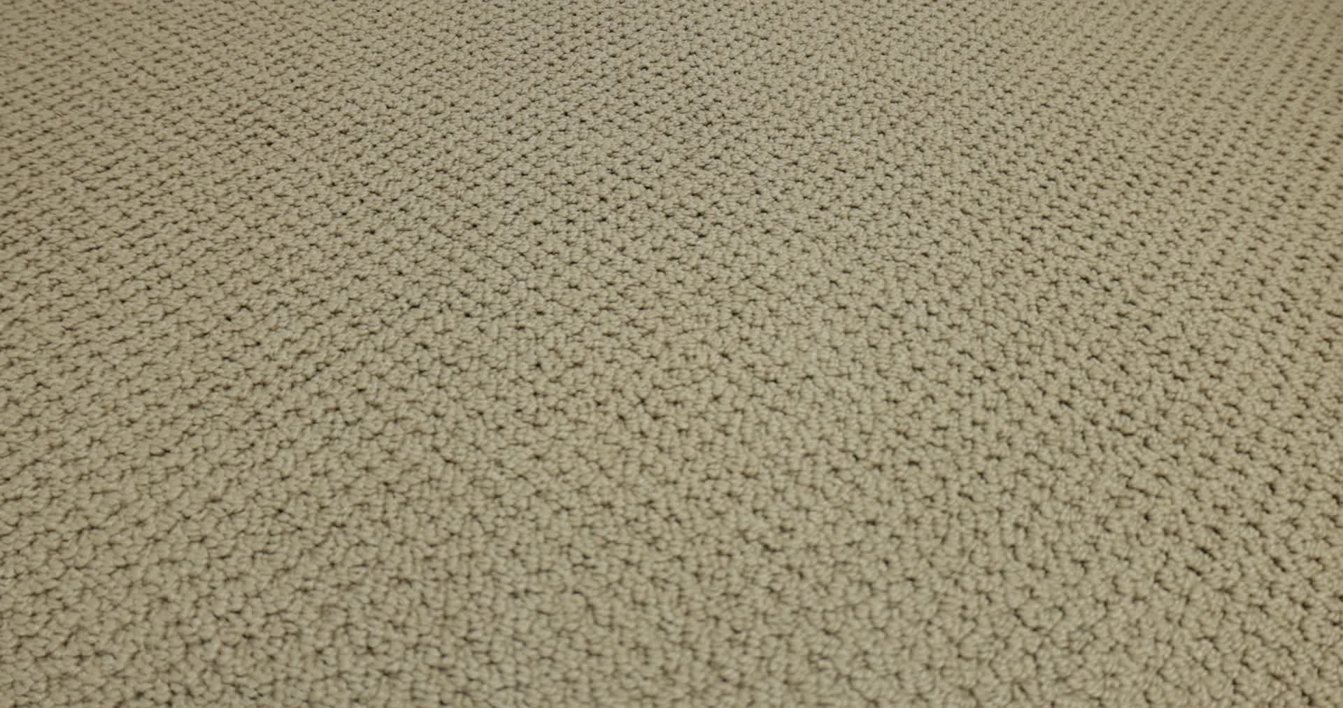 GRACIOUS SAFARI 360PROD