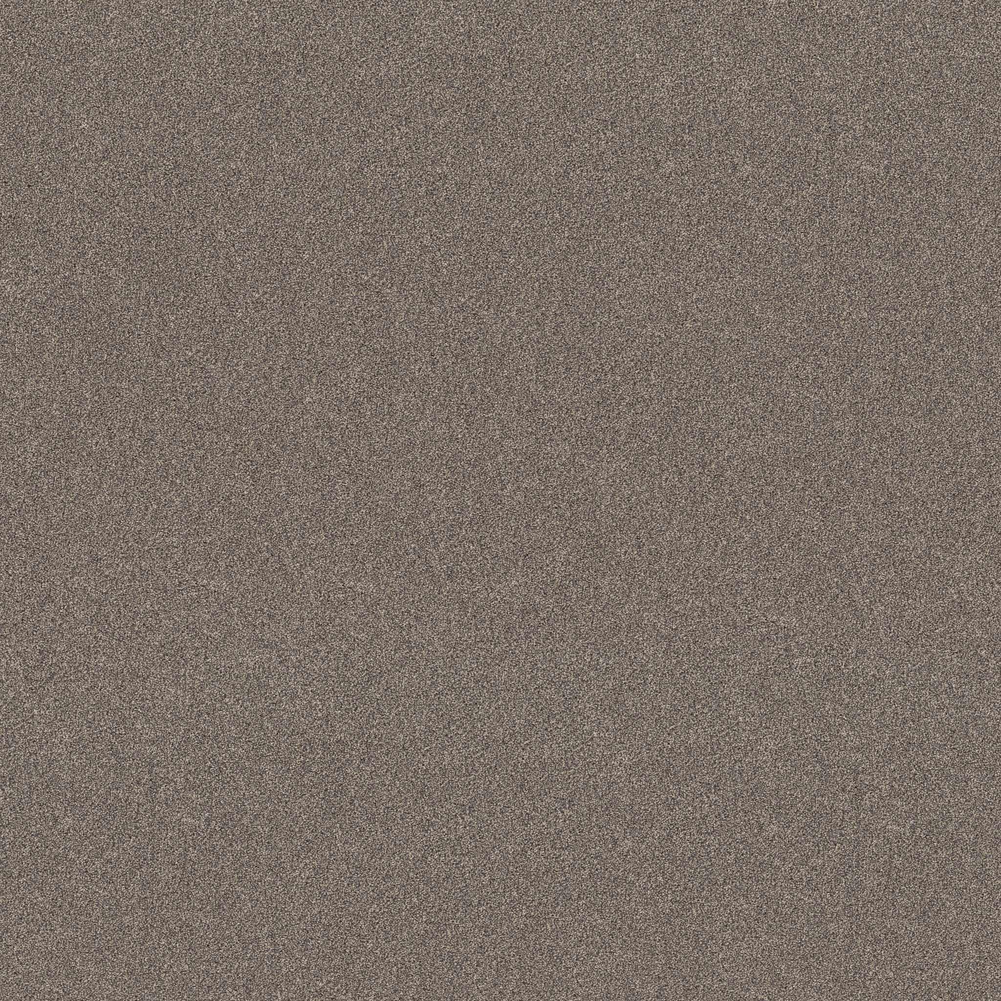 NEW MEMORIES T SHADOWS MAIN