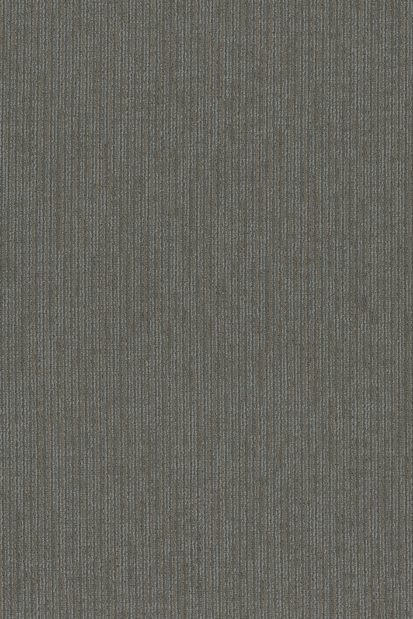 FUNCTION-54908-GOODWILL-00505-main-image