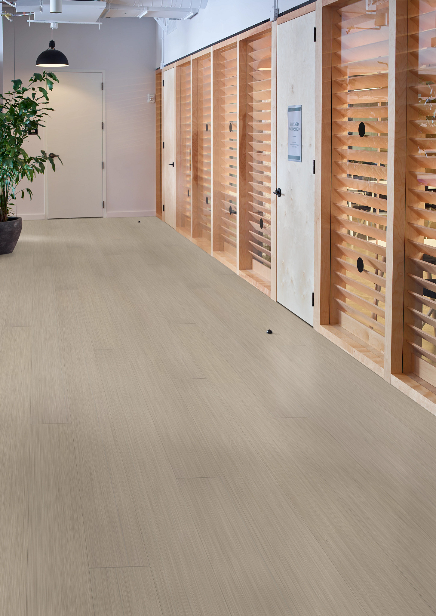 PHILOSOPHER'S-TREE-5599V-TRAVERTINE-00112-room-image