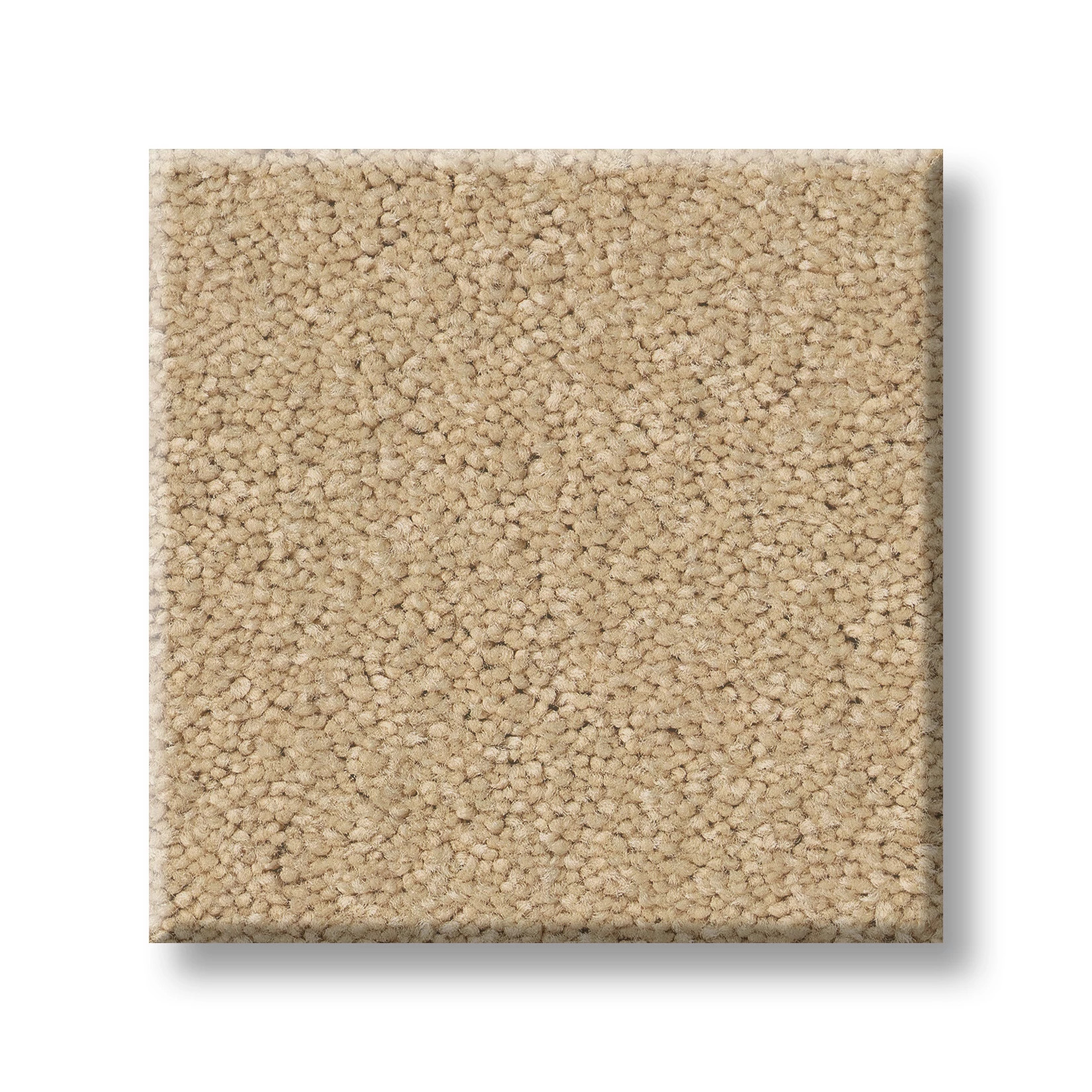 TIMELESS APPEAL III 12' MARZIPAN SWATCH