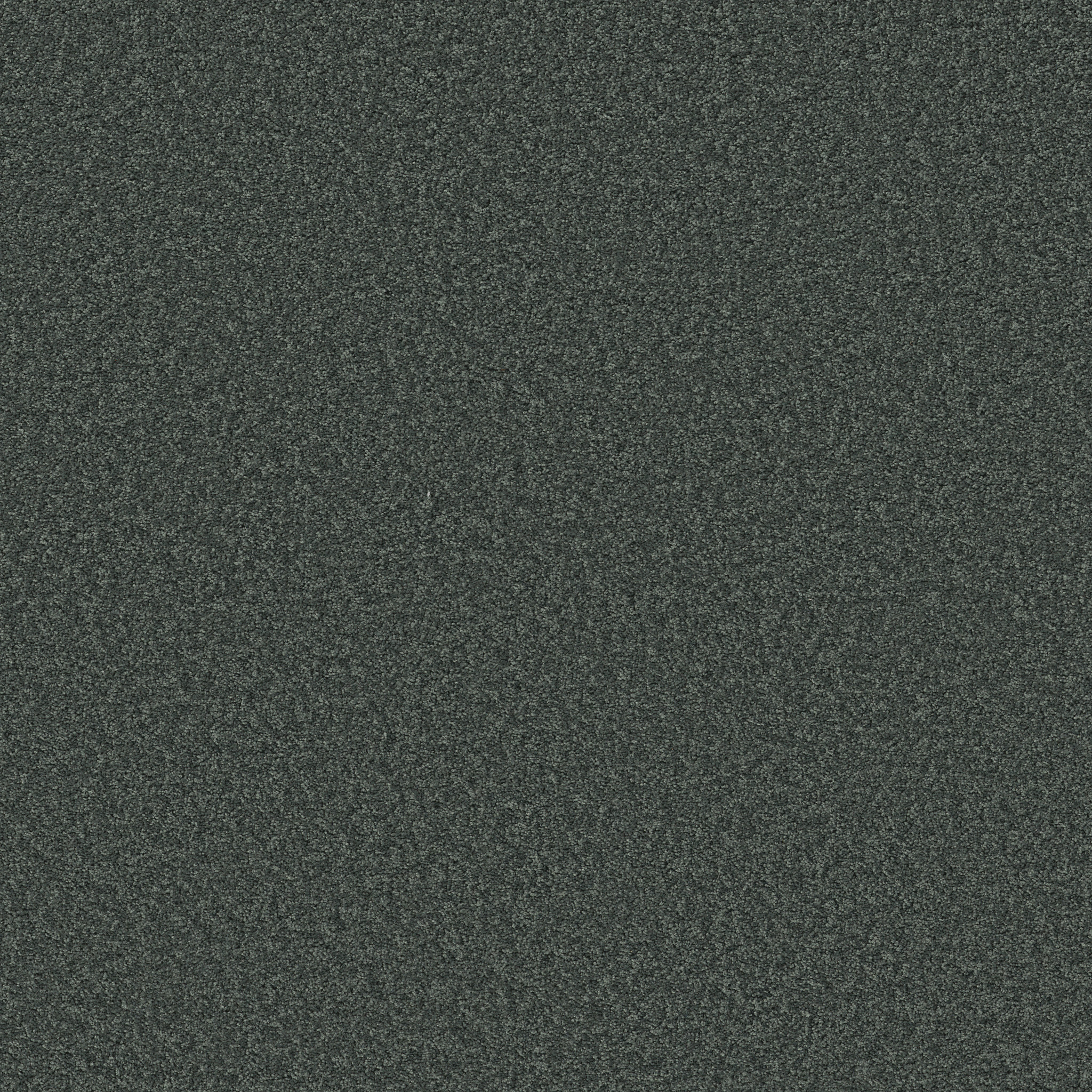 LAGUNA BEACH SEACLIFF HEIGHTS MAIN