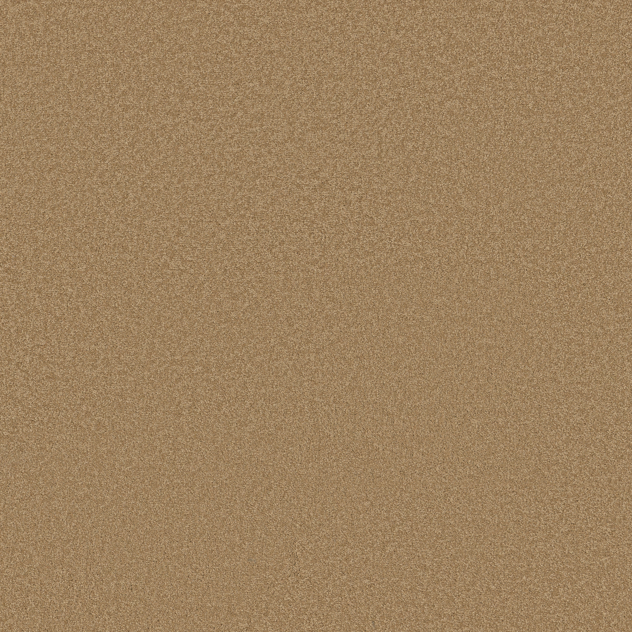 SHINGLE CREEK I 12 CORK MAIN