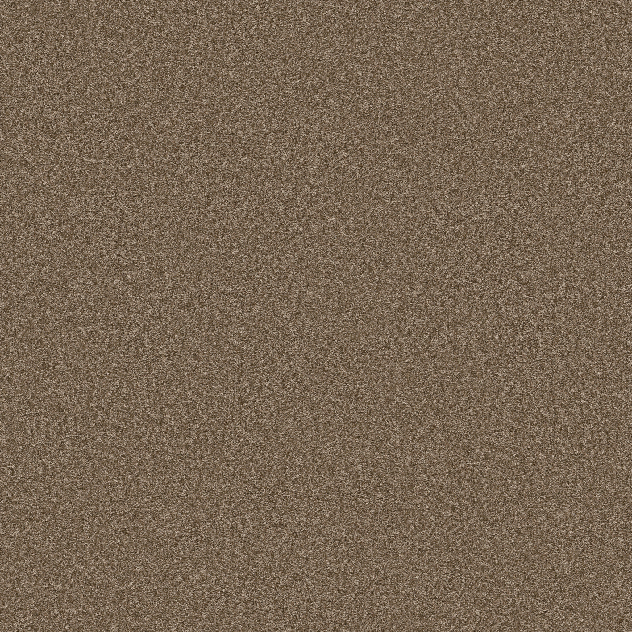 YOU GOT THIS II MISSION RIDGE MAIN