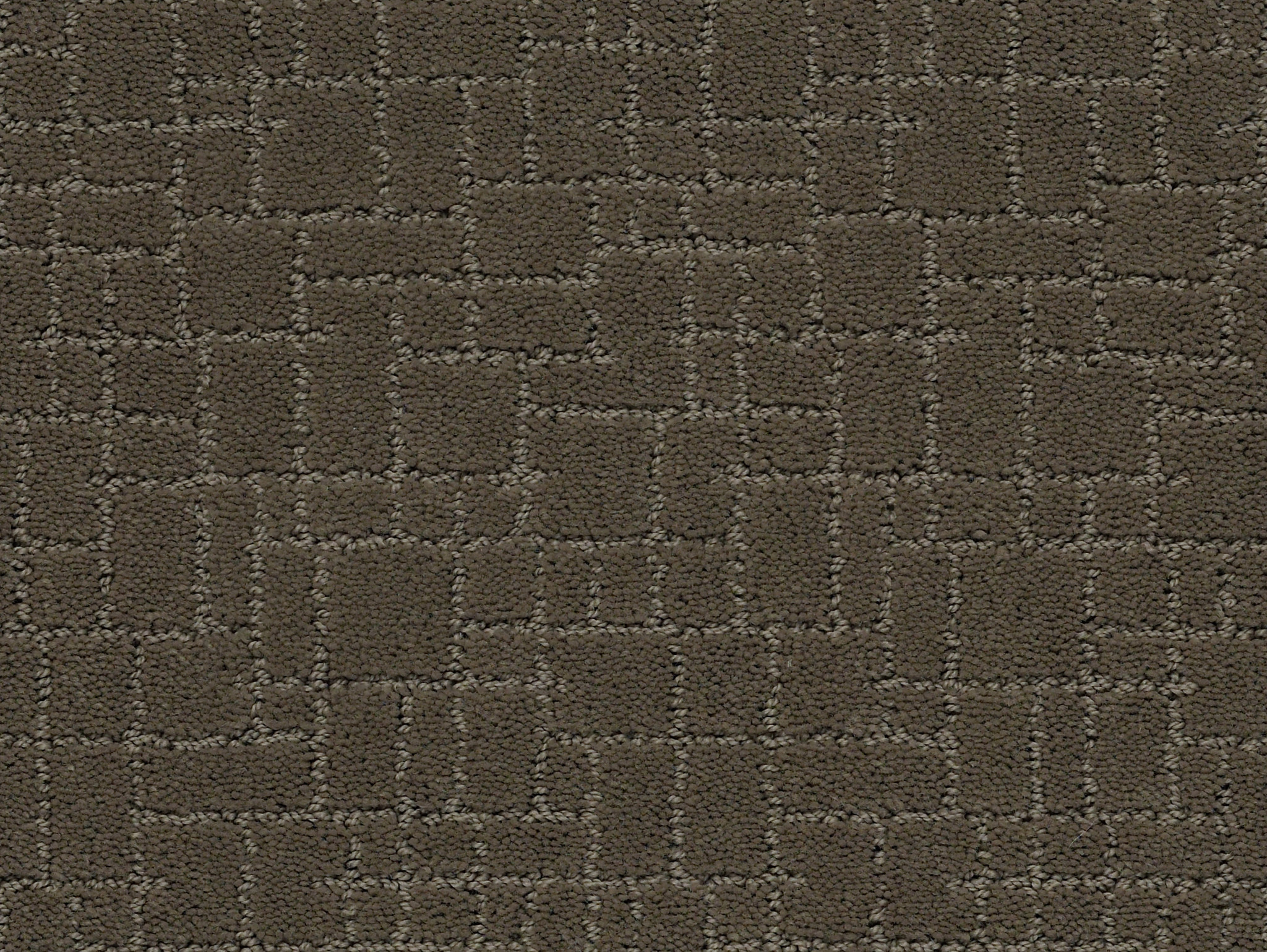 FAUX PAW OVERCOAT MAIN