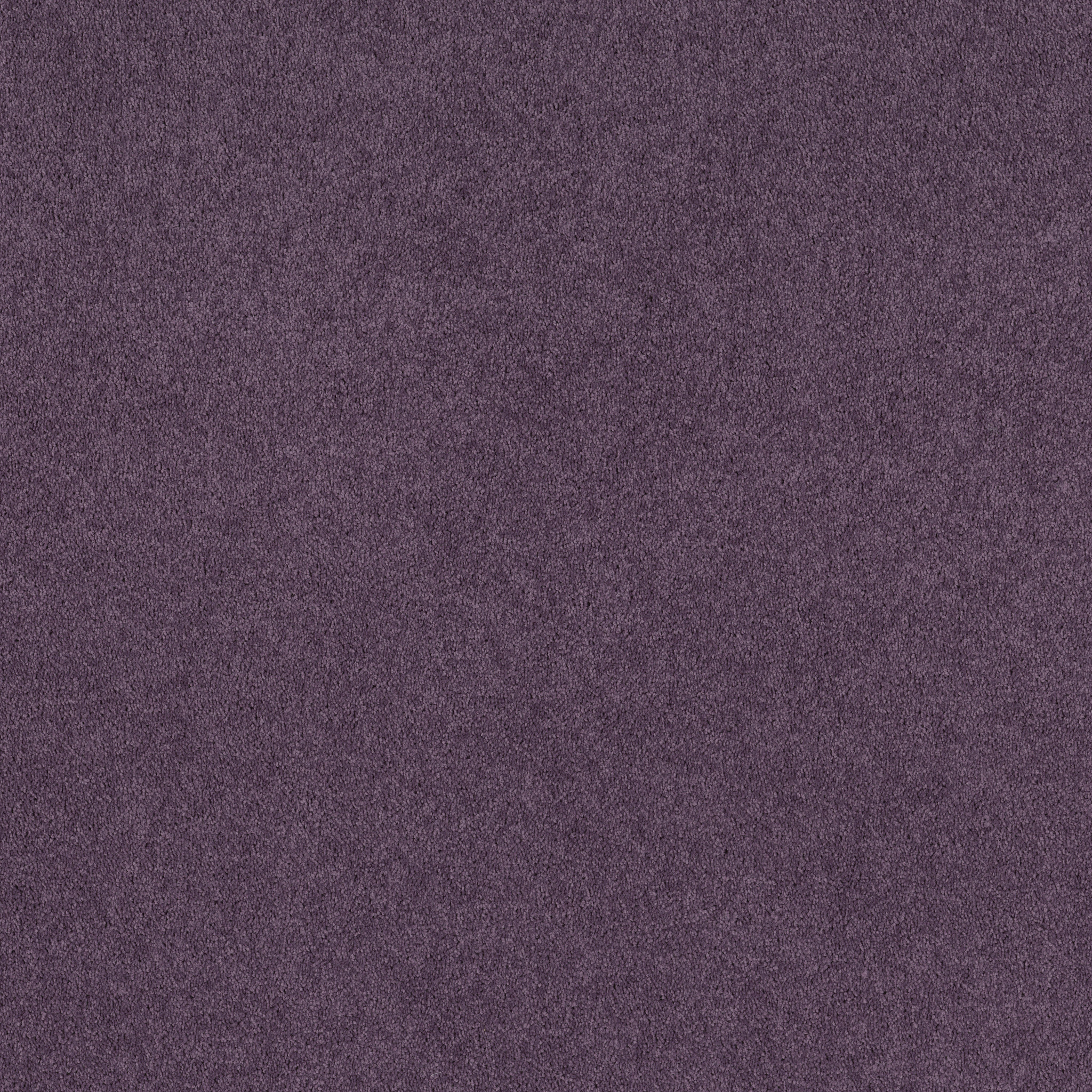 DYERSBURG CLASSIC 12' VIOLET CRUSH MAIN